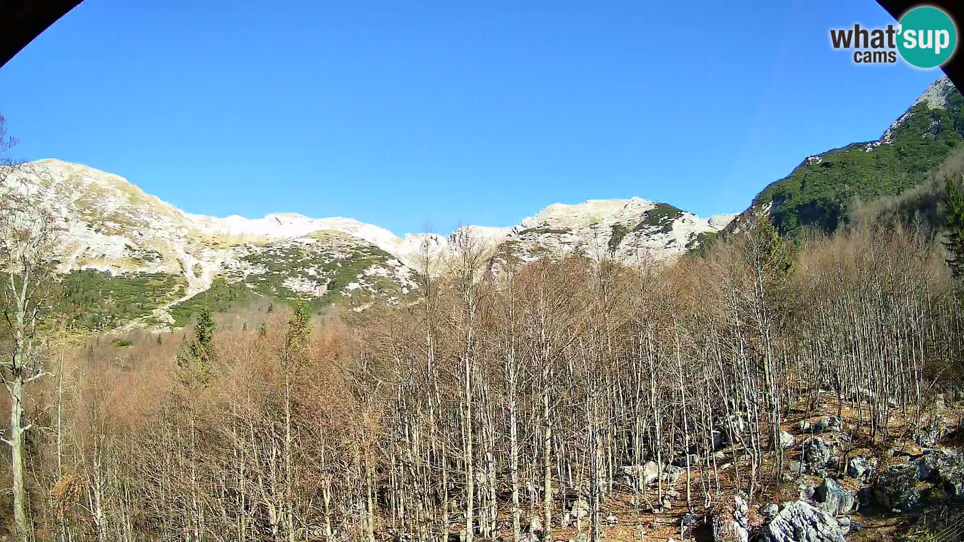 PLANINA RAZOR webcam (1315) | view to Vogel and Globoko