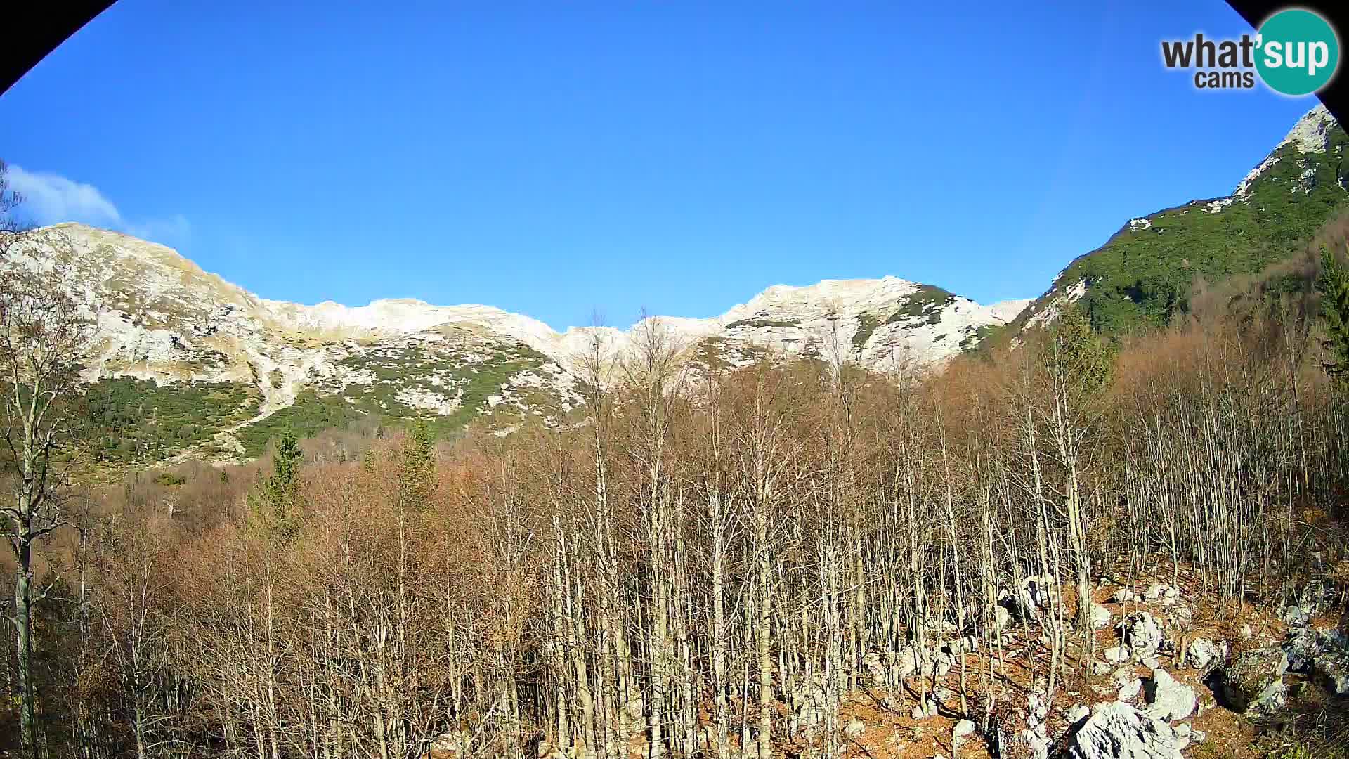 PLANINA RAZOR kamera (1315) | pogled na Vogel in Globoko