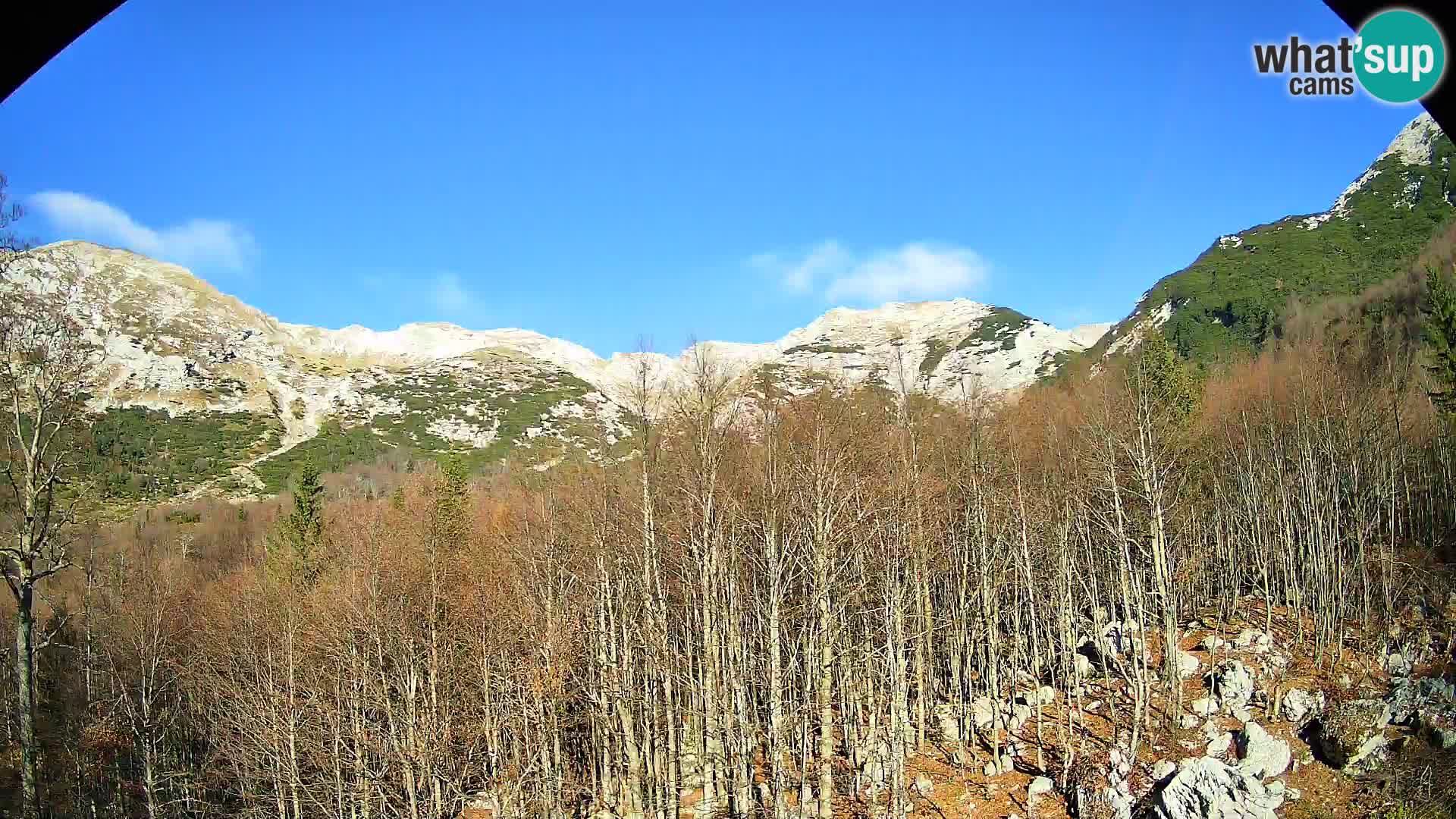 PLANINA RAZOR web kamera (1315) | pogled na Vogel i Globoko