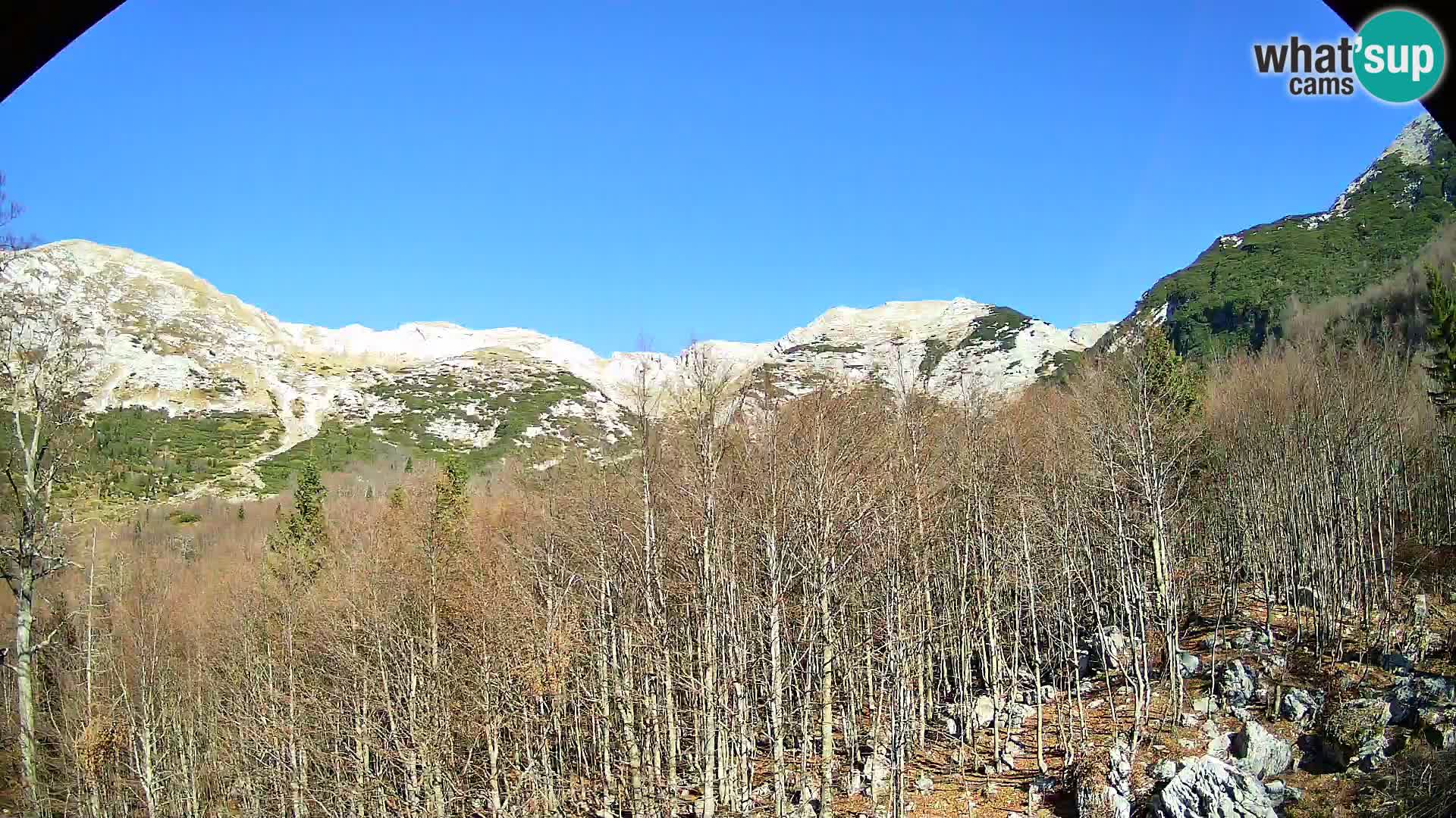 Webcam PLANINA RAZOR (1315) | Blick auf Vogel und Globoko