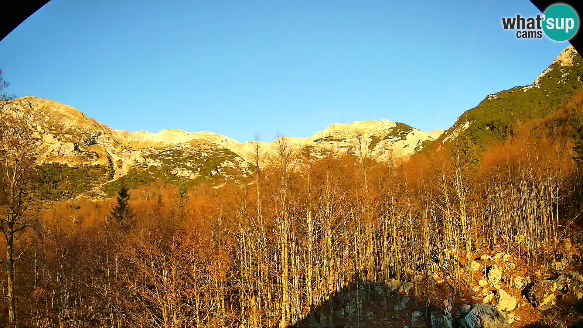 PLANINA RAZOR web kamera (1315) | pogled na Vogel i Globoko