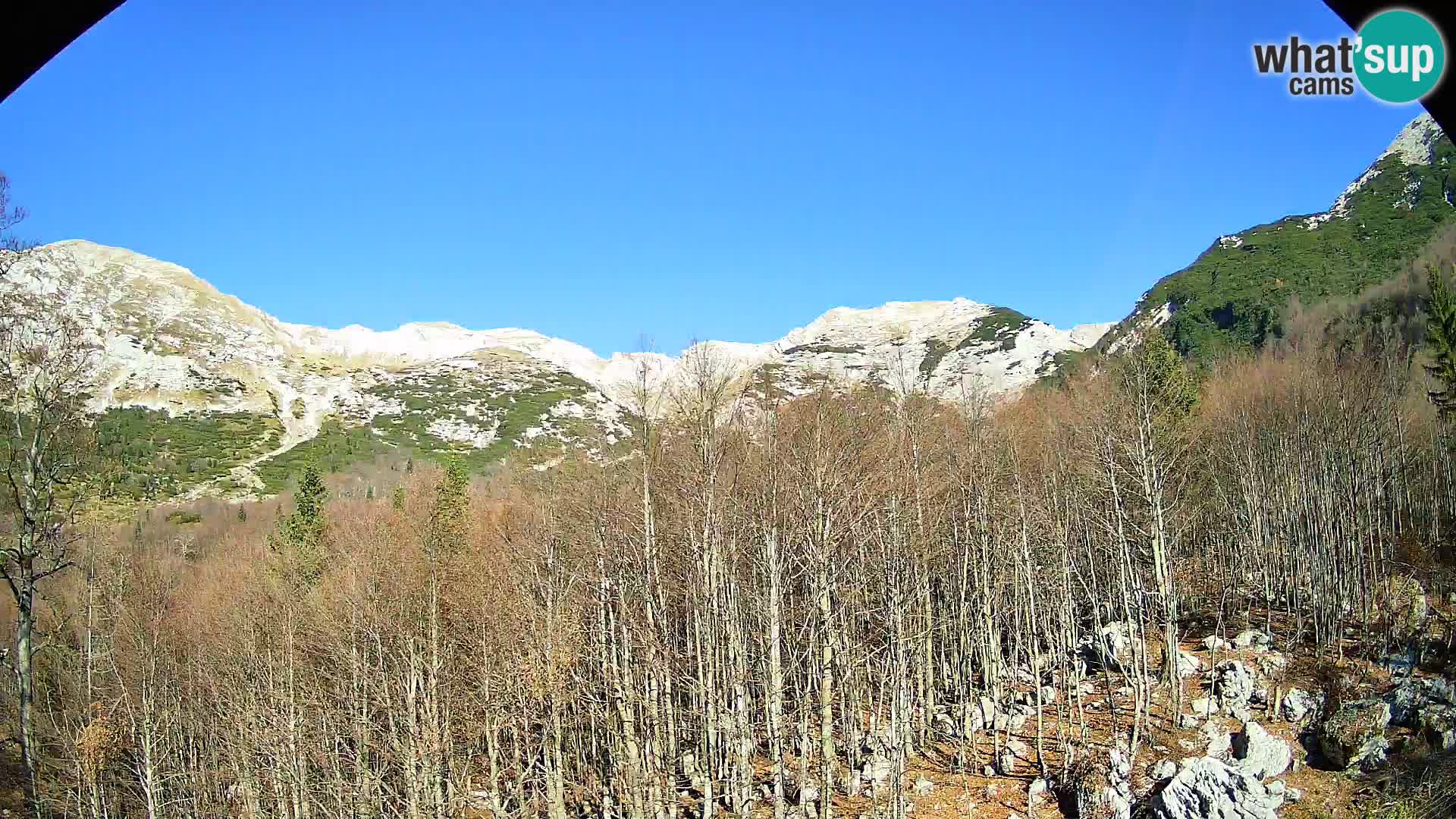 PLANINA RAZOR Live Cam (1315) | vista su Vogel e Globoko