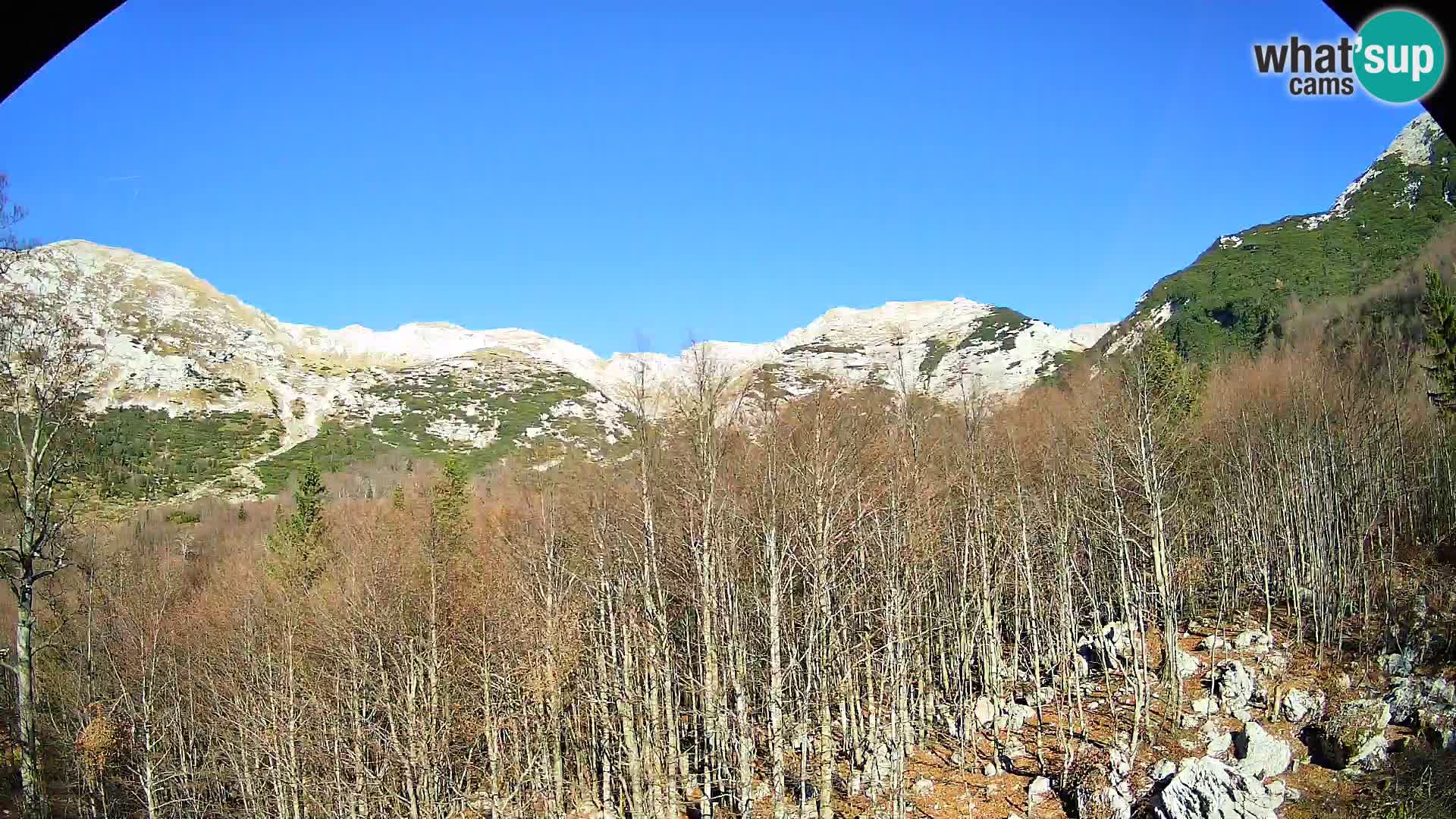 PLANINA RAZOR web kamera (1315) | pogled na Vogel i Globoko