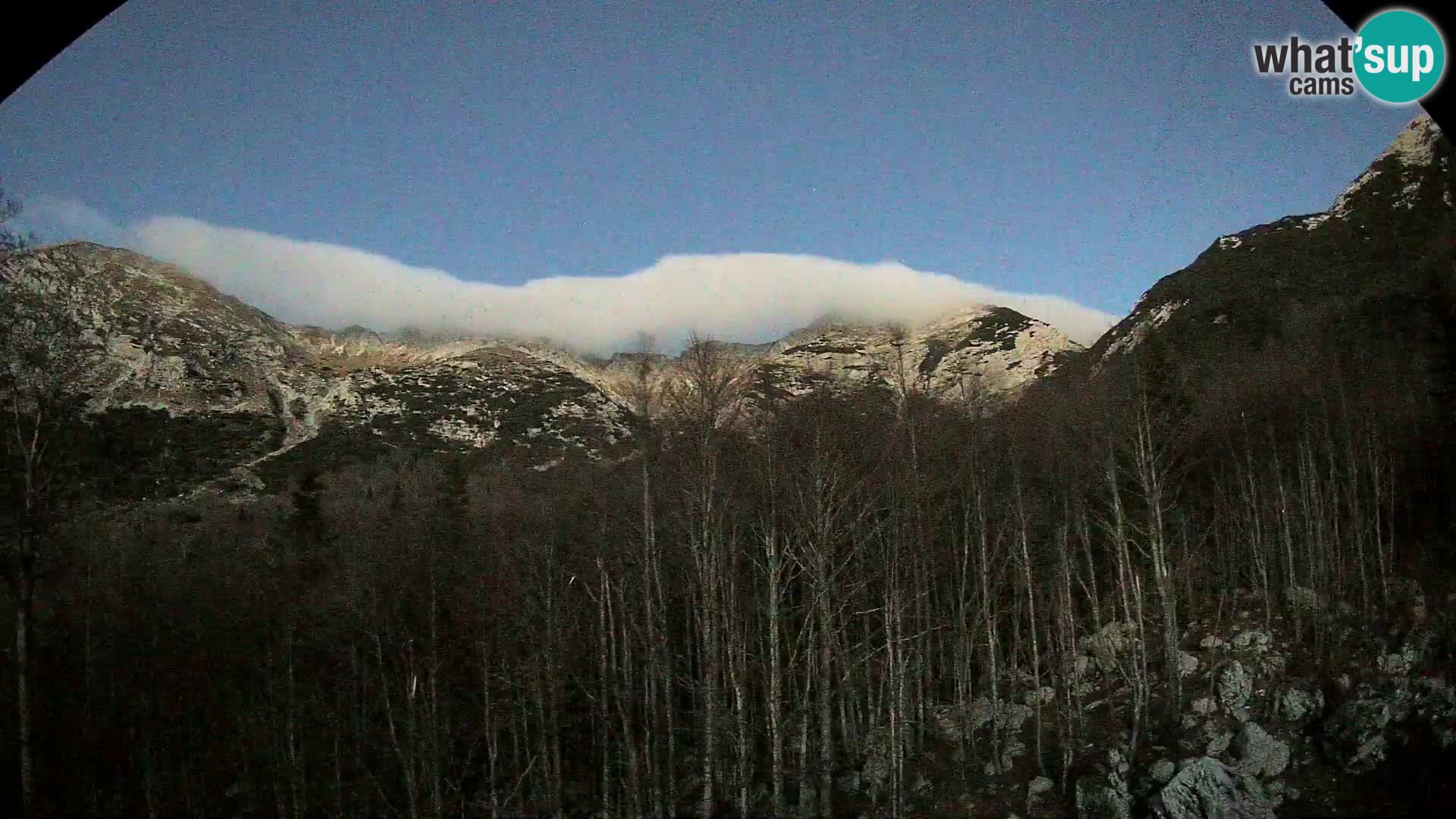 Webcam PLANINA RAZOR (1315) | Blick auf Vogel und Globoko