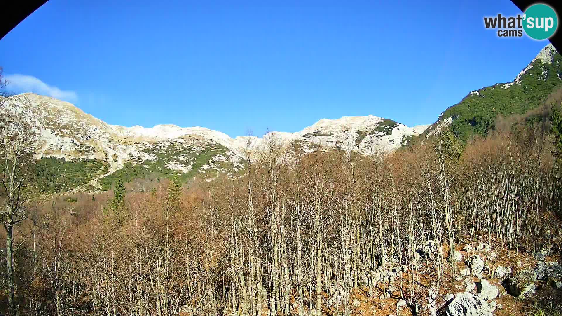 PLANINA RAZOR web kamera (1315) | pogled na Vogel i Globoko