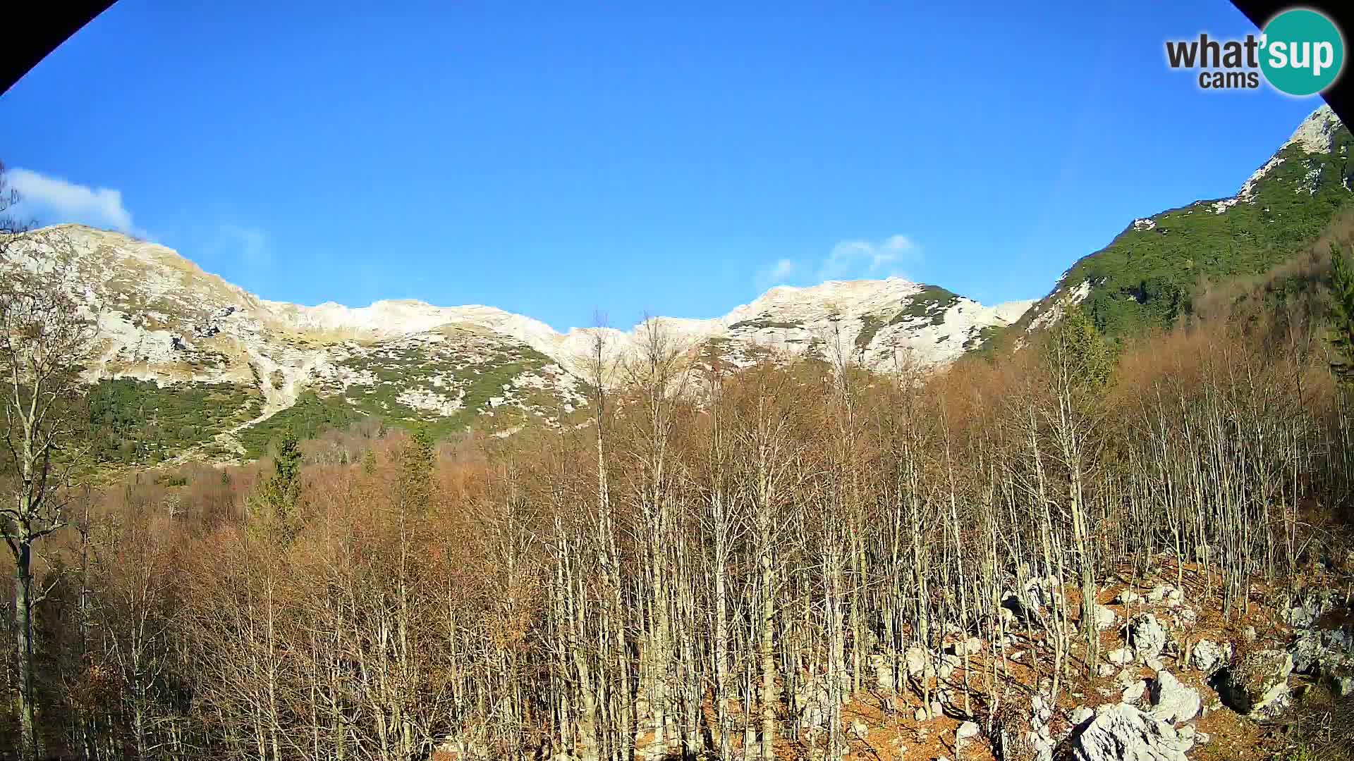 Webcam PLANINA RAZOR (1315) | Blick auf Vogel und Globoko