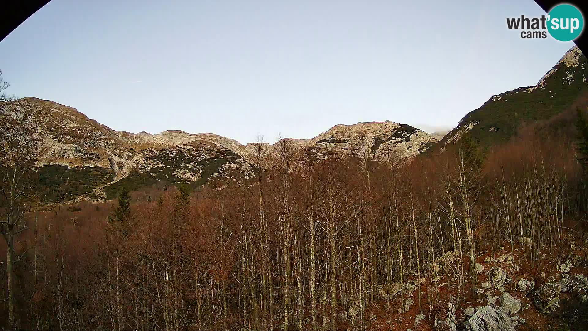 PLANINA RAZOR webcam (1315) | view to Vogel and Globoko