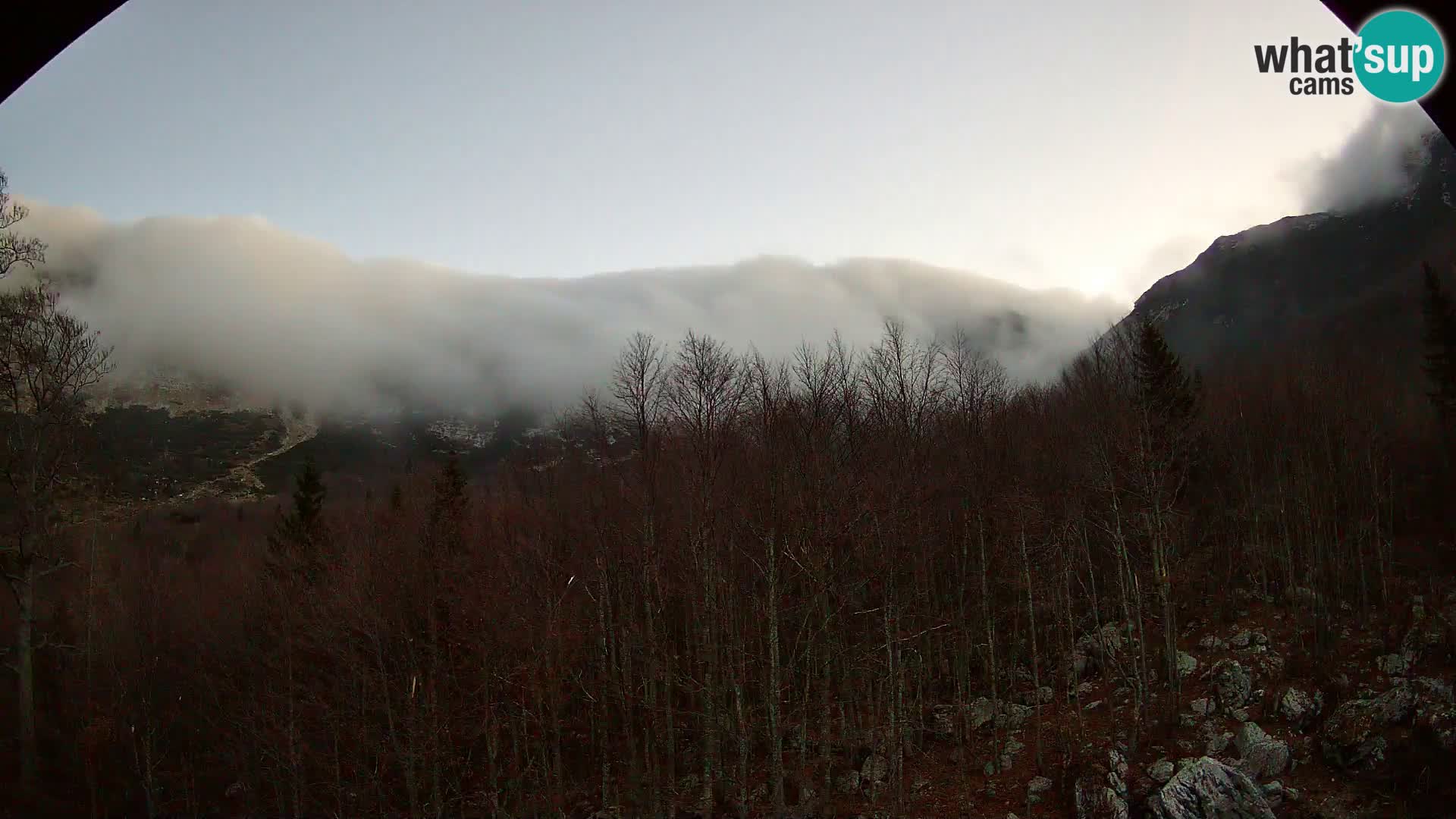 PLANINA RAZOR webcam (1315) | view to Vogel and Globoko