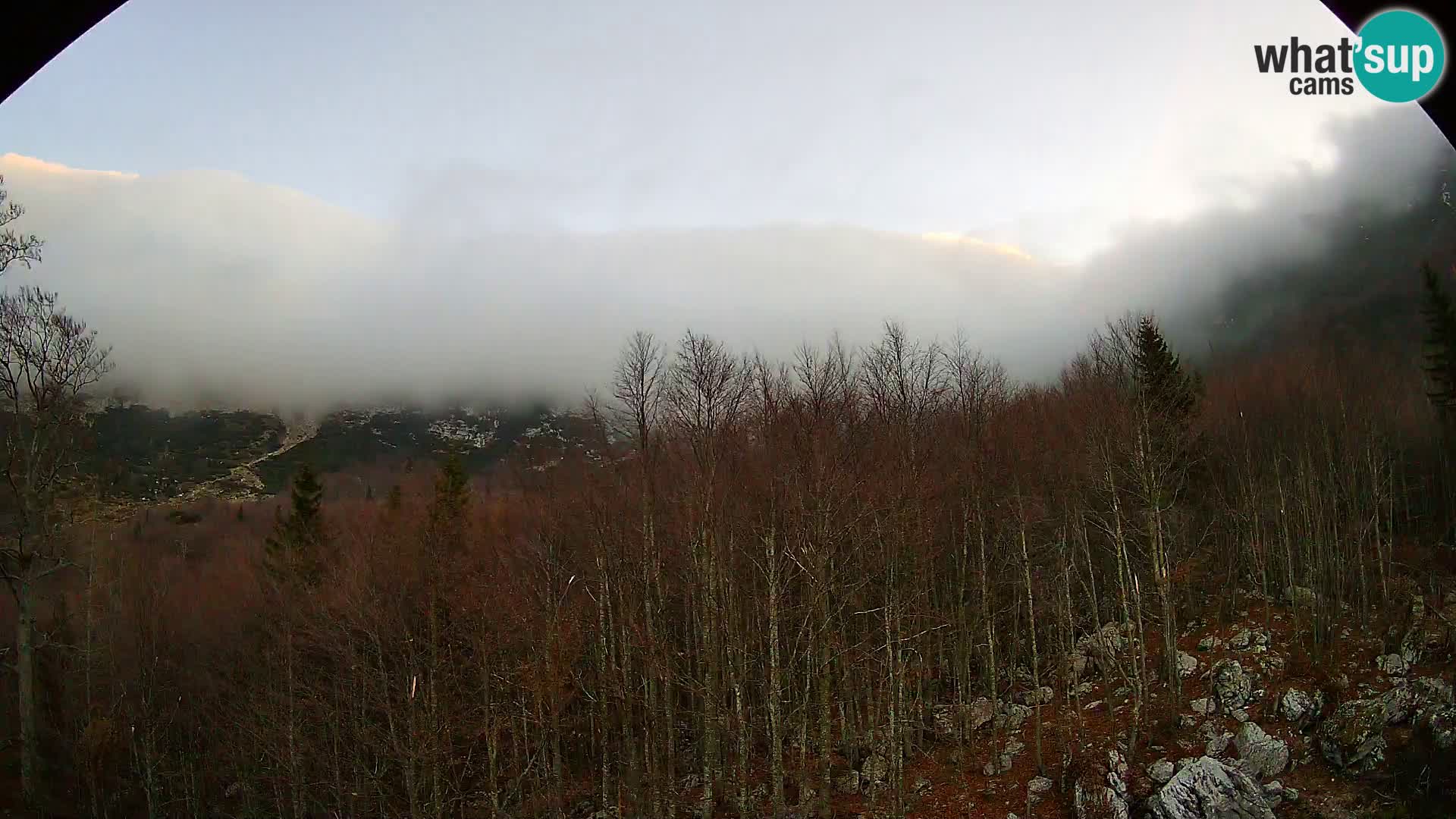 PLANINA RAZOR kamera (1315) | pogled na Vogel in Globoko