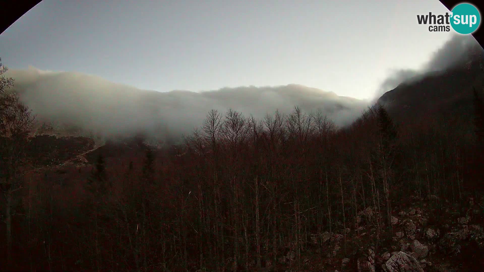 PLANINA RAZOR Live Cam (1315) | vista su Vogel e Globoko