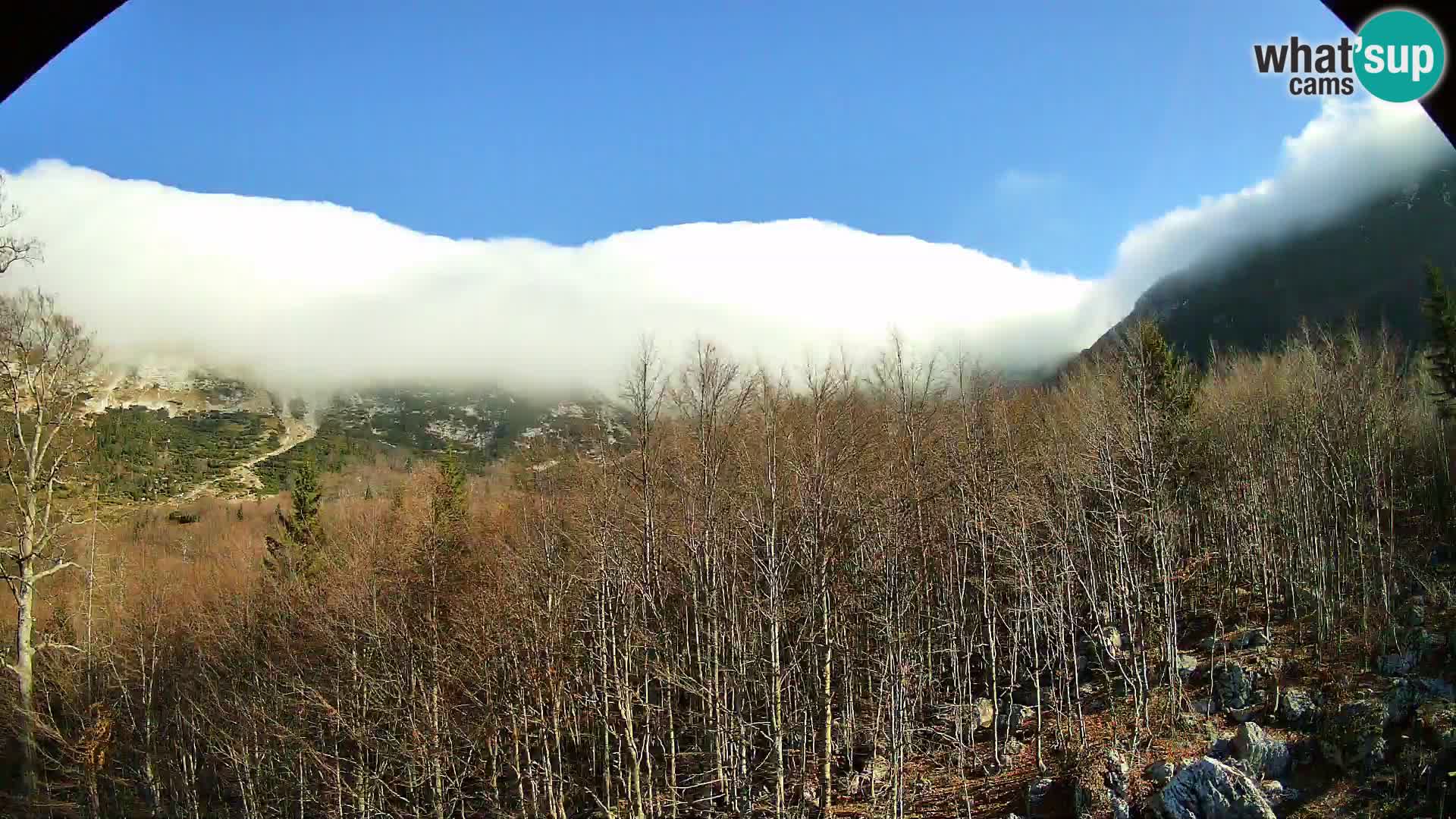 PLANINA RAZOR webcam (1315) | view to Vogel and Globoko
