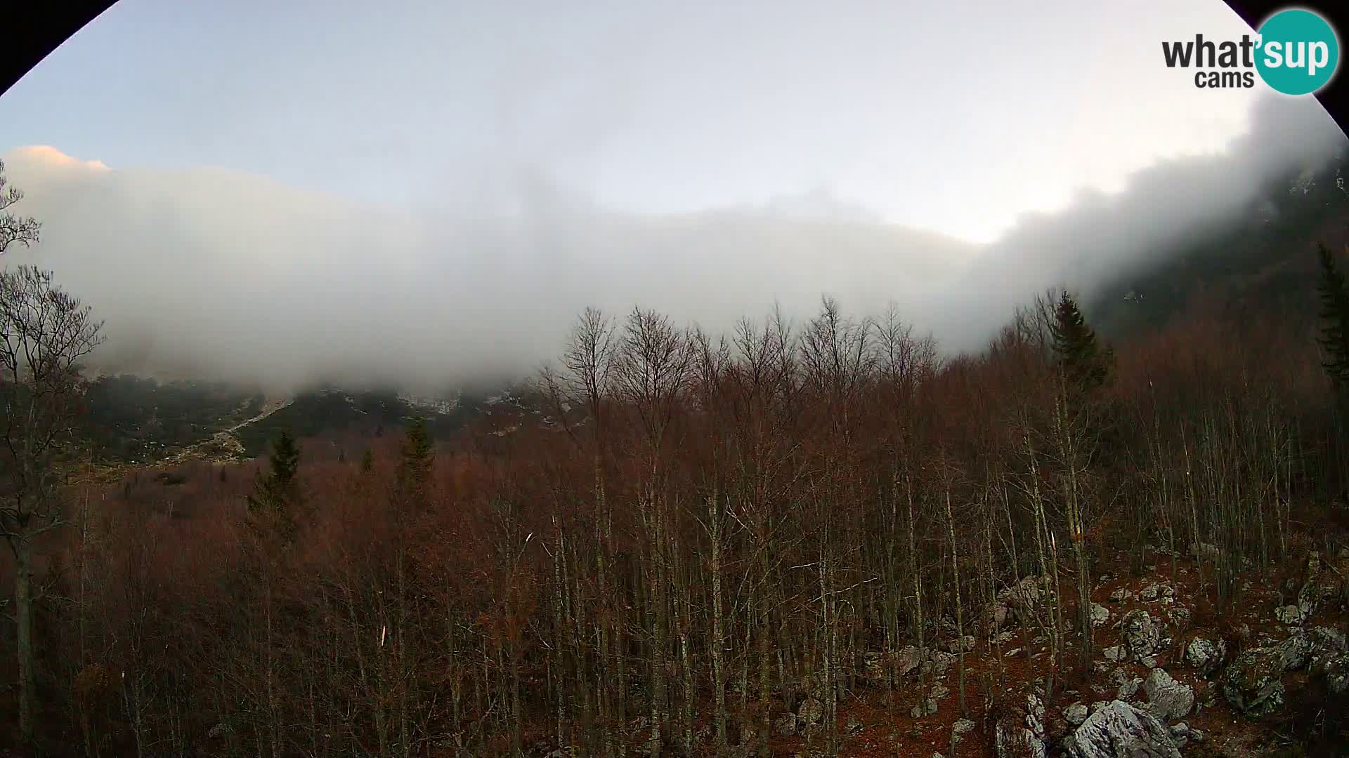 Livecam PLANINA RAZOR (1315) | vue sur Vogel et Globoko