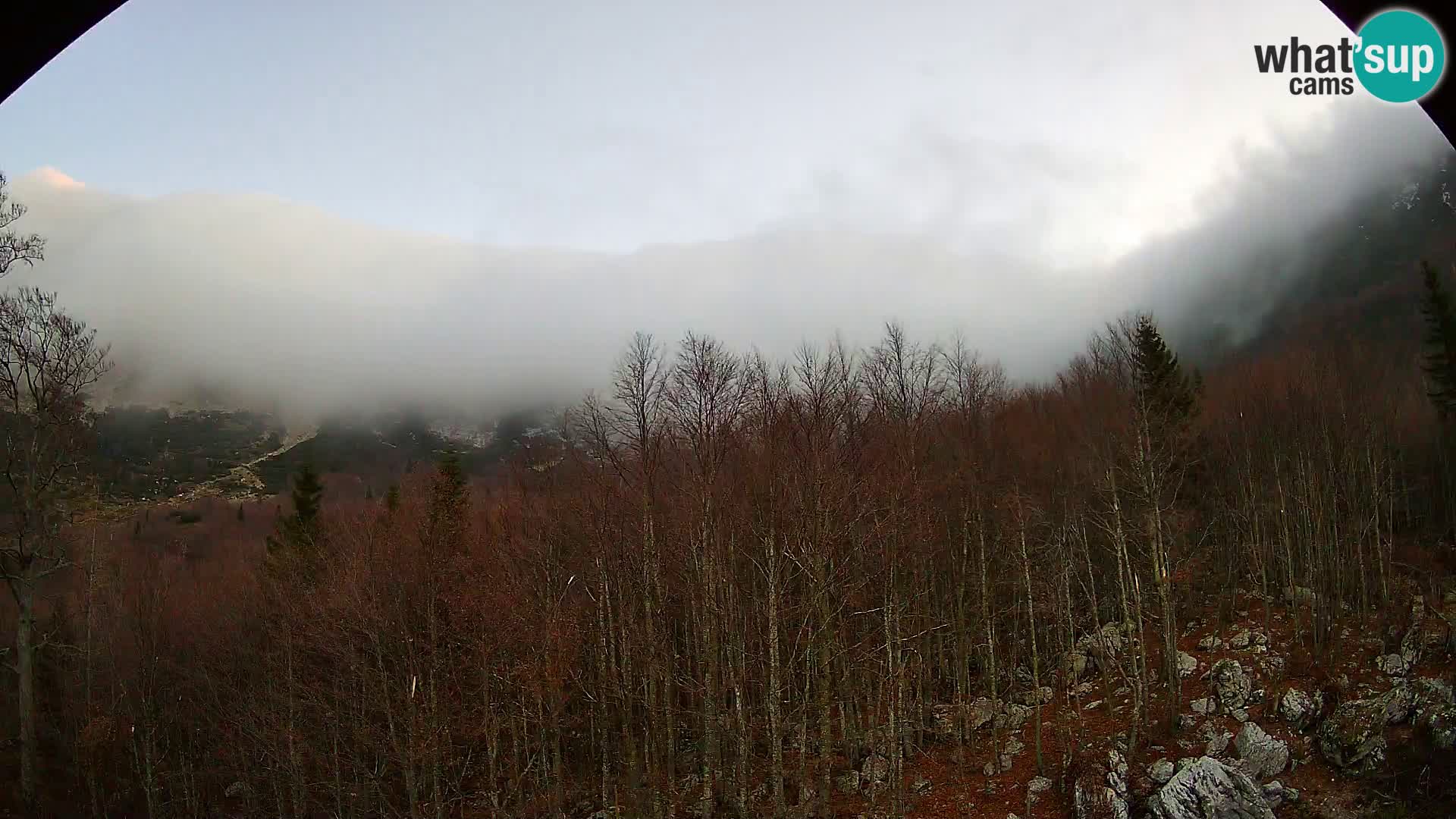 PLANINA RAZOR kamera (1315) | pogled na Vogel in Globoko