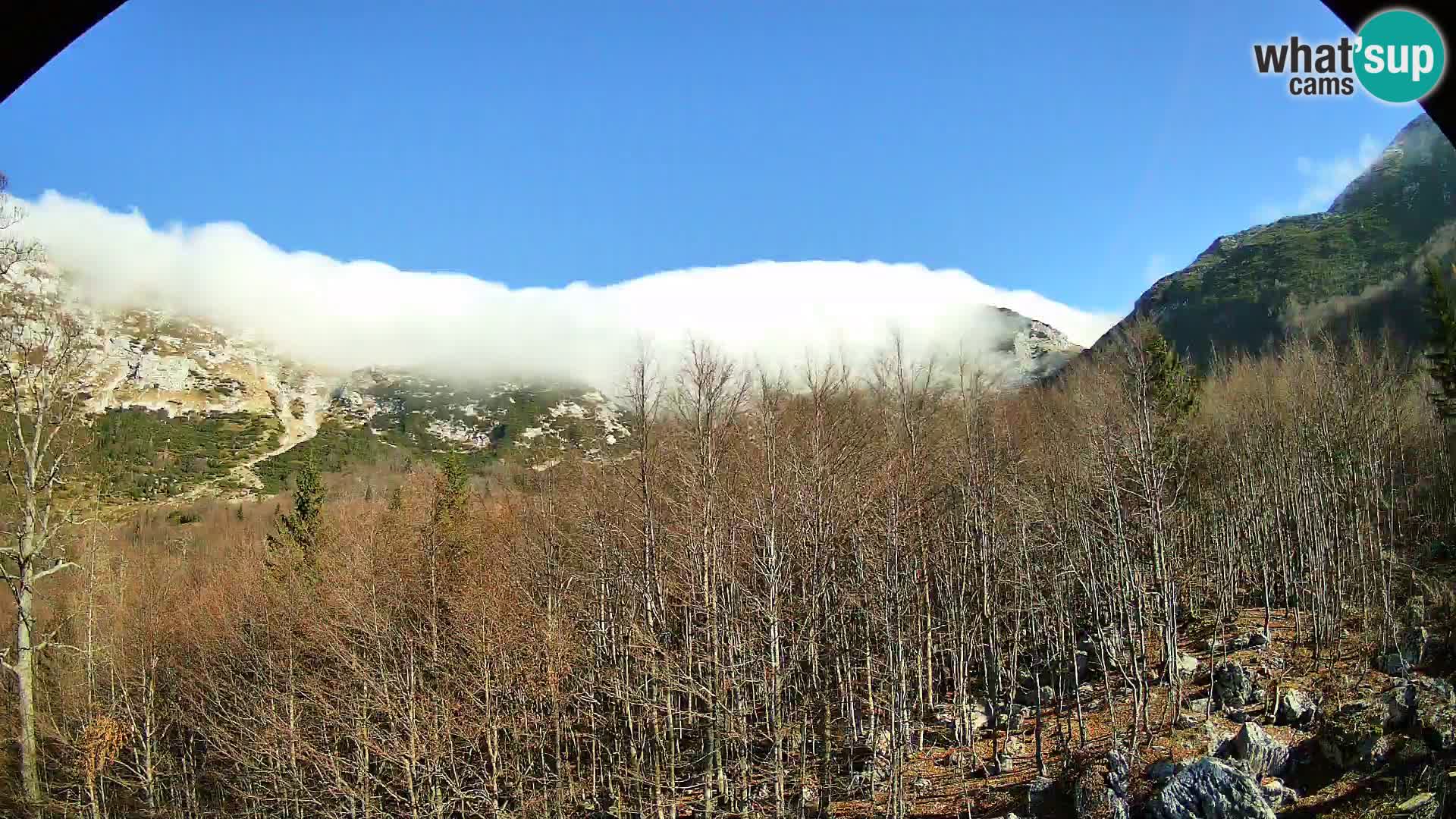 PLANINA RAZOR kamera (1315) | pogled na Vogel in Globoko