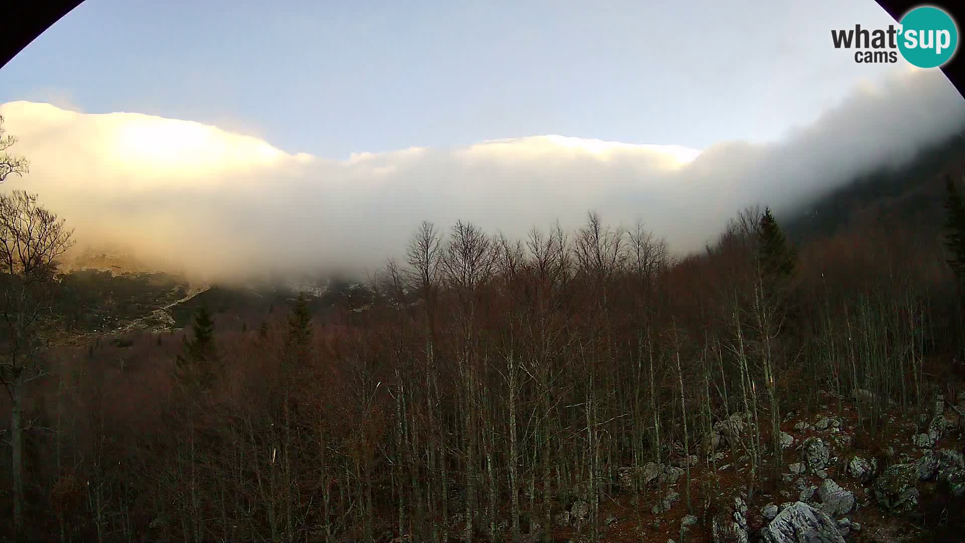 PLANINA RAZOR webcam (1315) | view to Vogel and Globoko