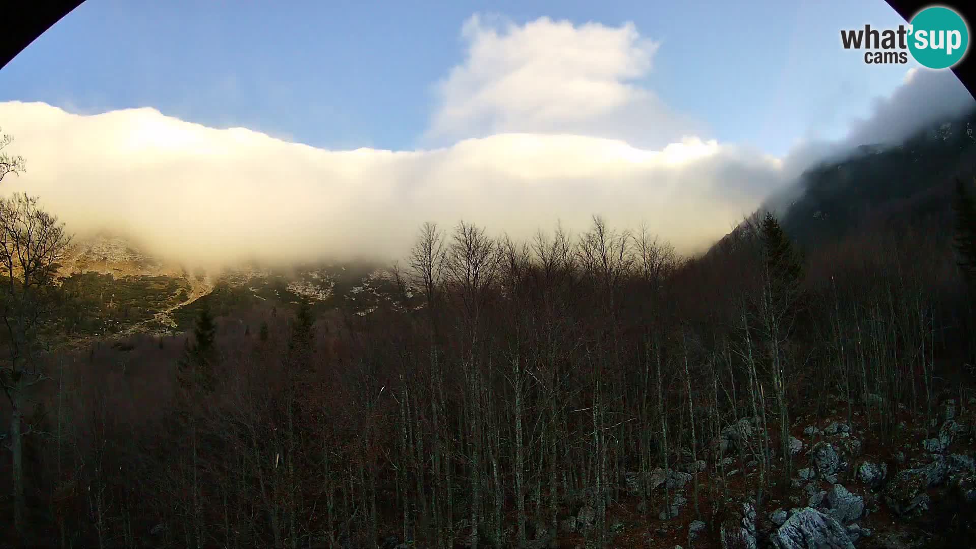 PLANINA RAZOR webcam (1315) | view to Vogel and Globoko