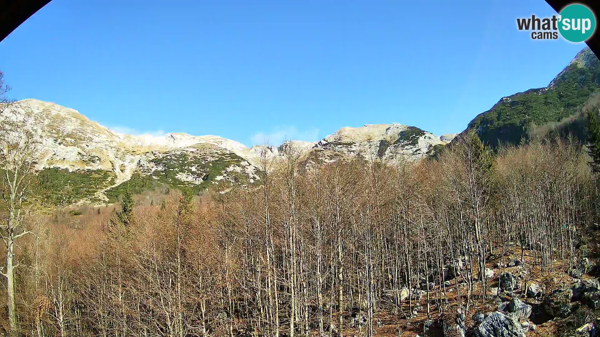 PLANINA RAZOR webcam (1315) | view to Vogel and Globoko