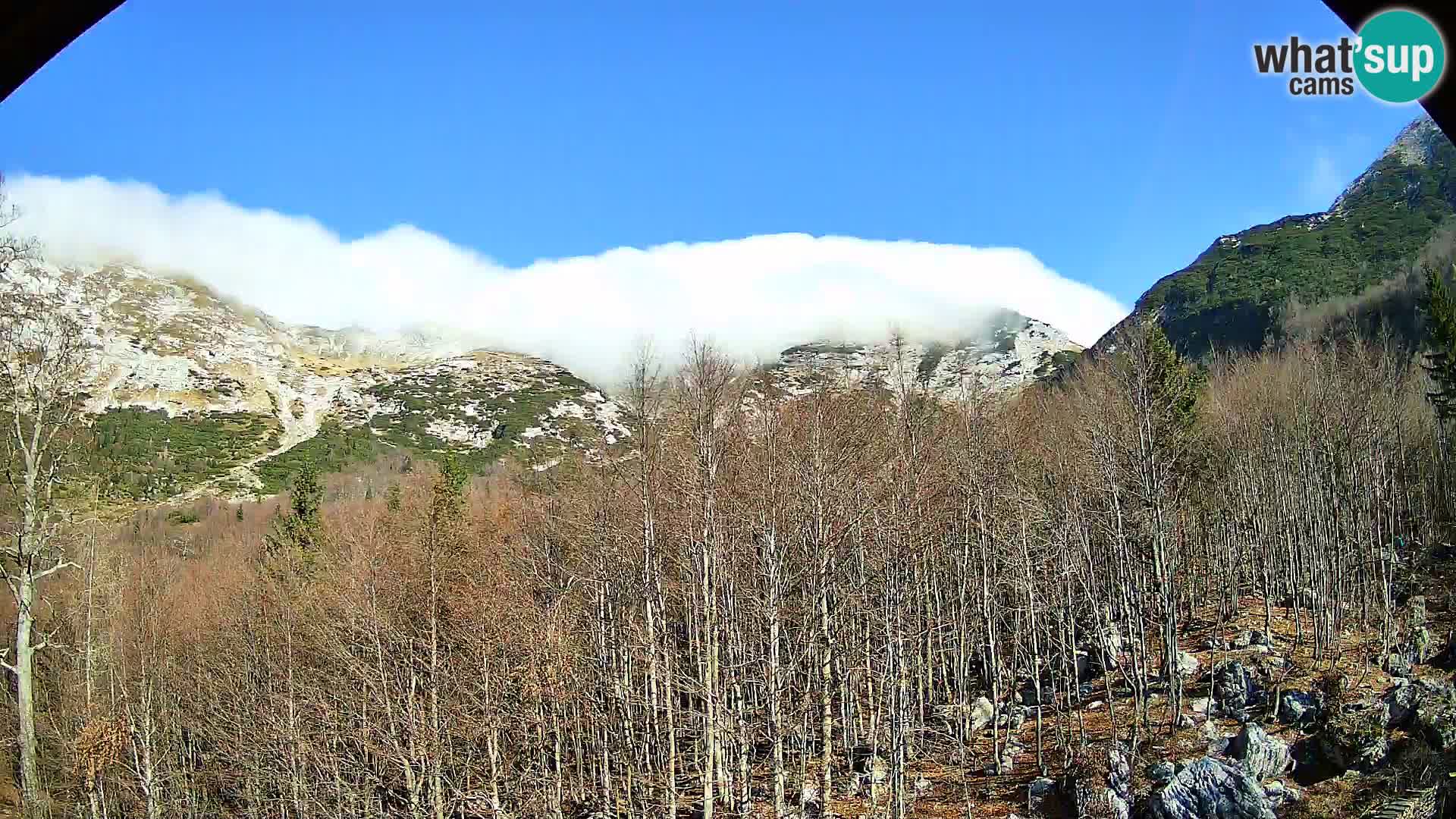 Cámara web PLANINA RAZOR (1315) | vista a Vogel y Globoko