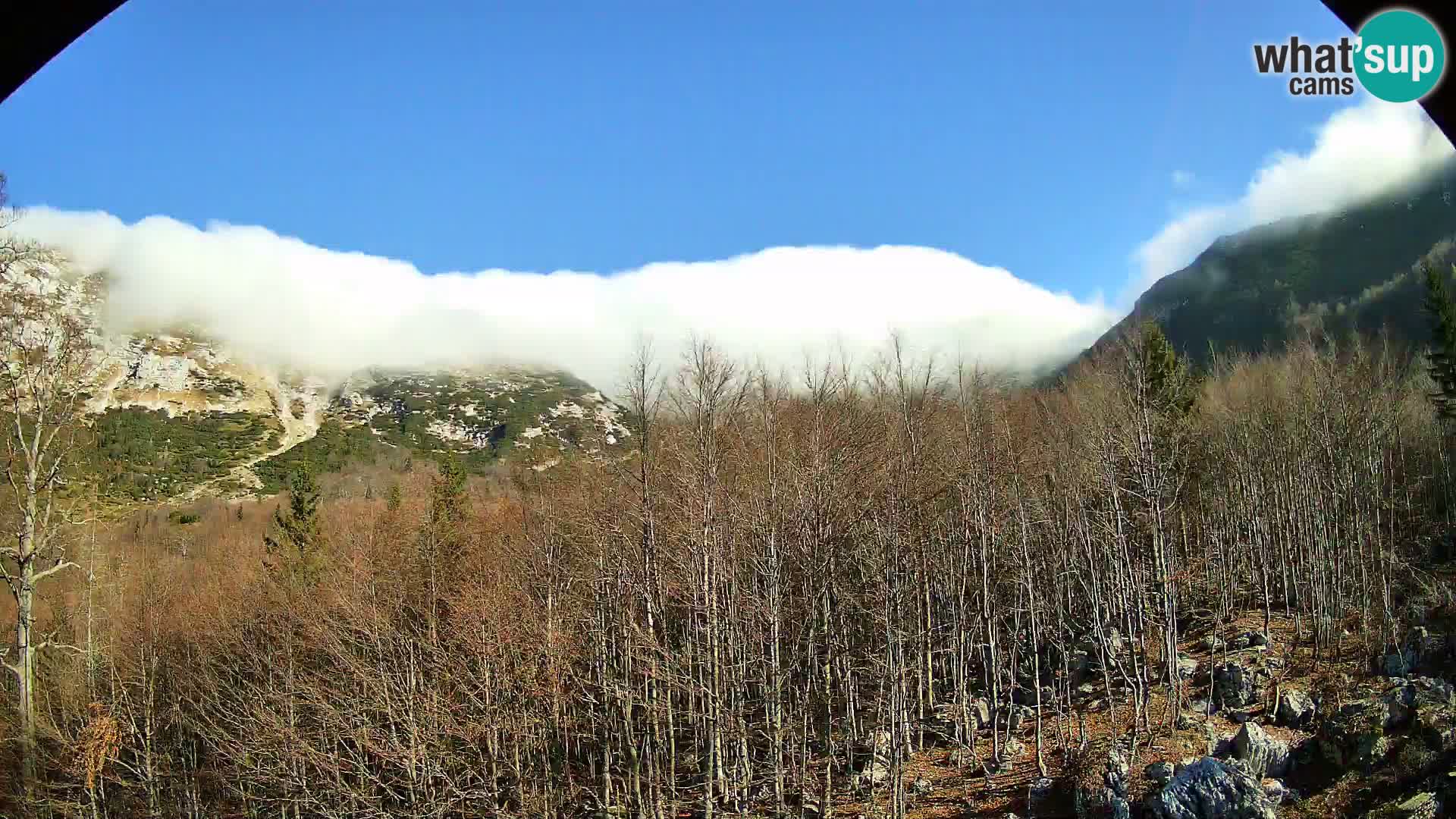 PLANINA RAZOR Live Cam (1315) | vista su Vogel e Globoko