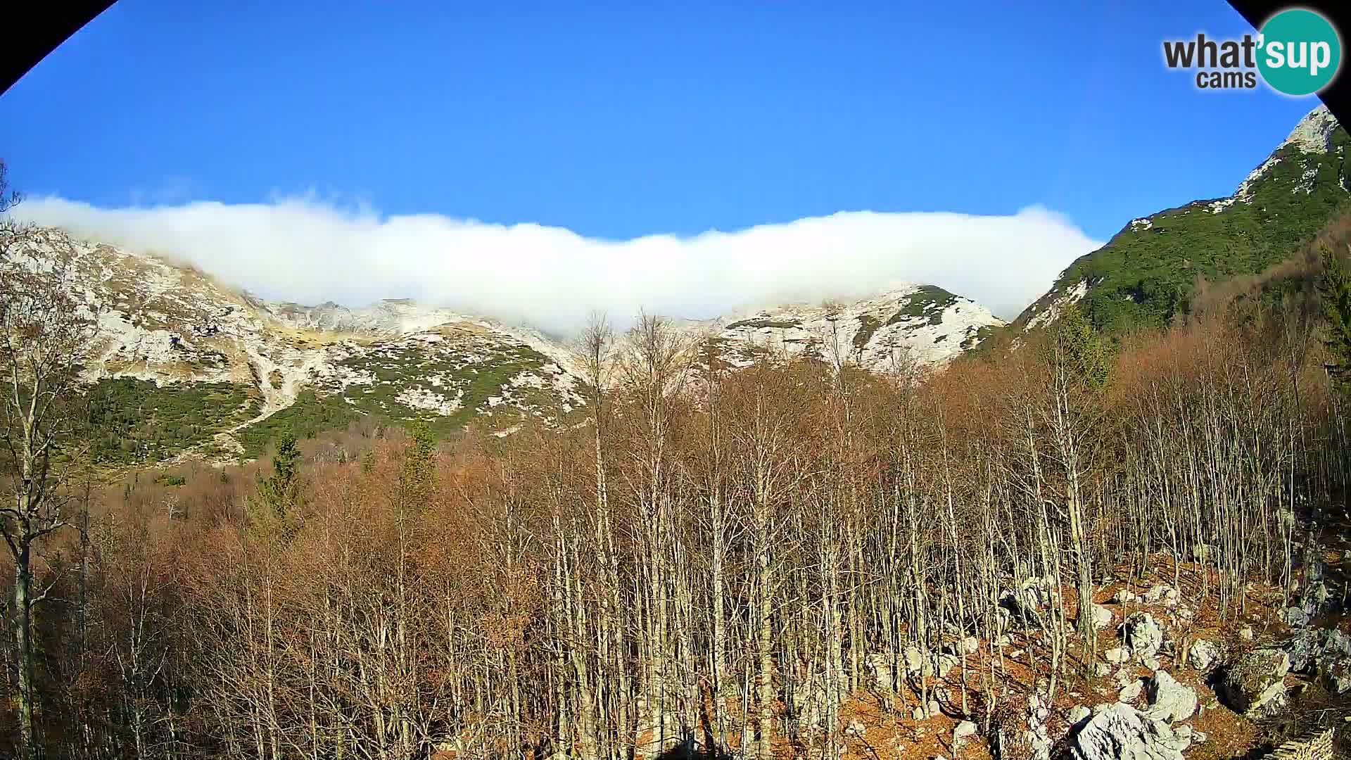 Webcam PLANINA RAZOR (1315) | Blick auf Vogel und Globoko