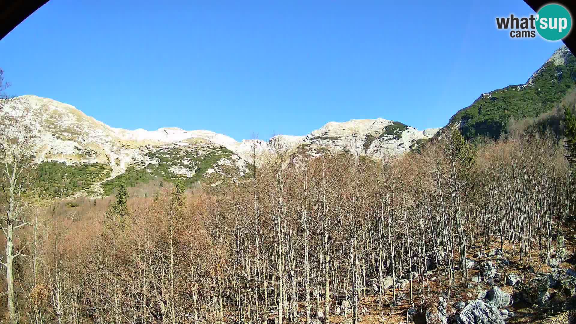 PLANINA RAZOR kamera (1315) | pogled na Vogel in Globoko