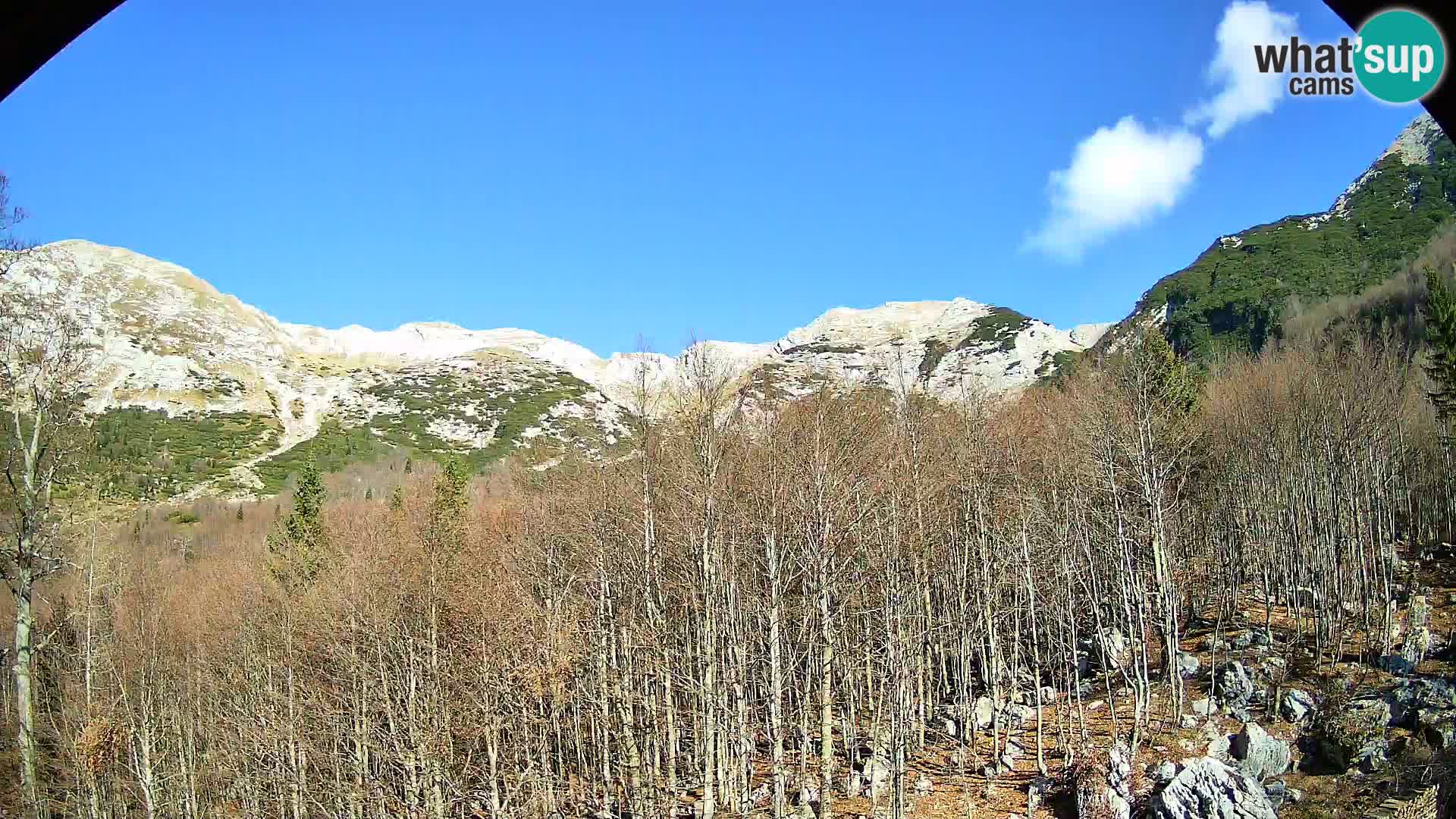 PLANINA RAZOR web kamera (1315) | pogled na Vogel i Globoko