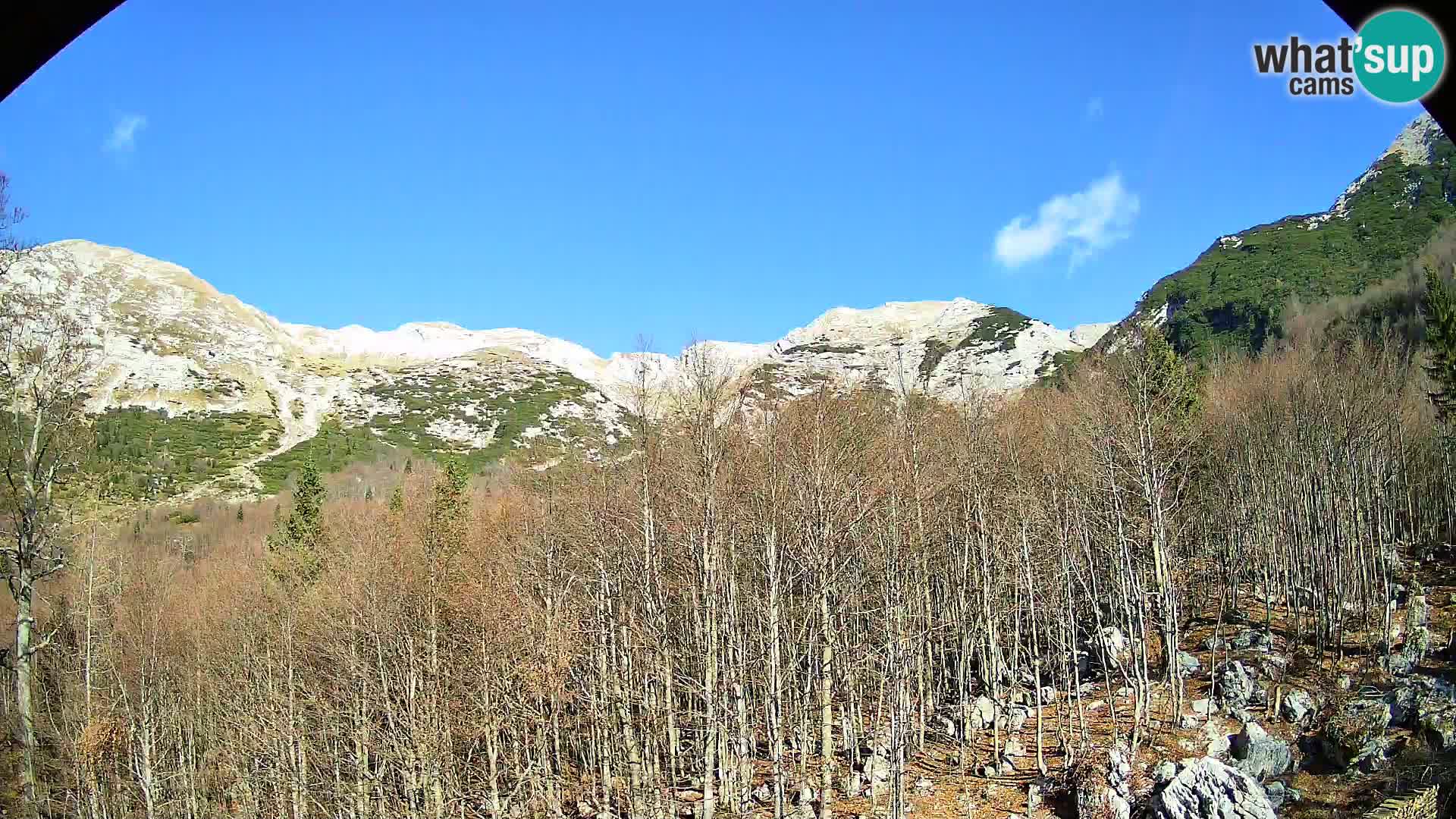 PLANINA RAZOR webcam (1315) | view to Vogel and Globoko