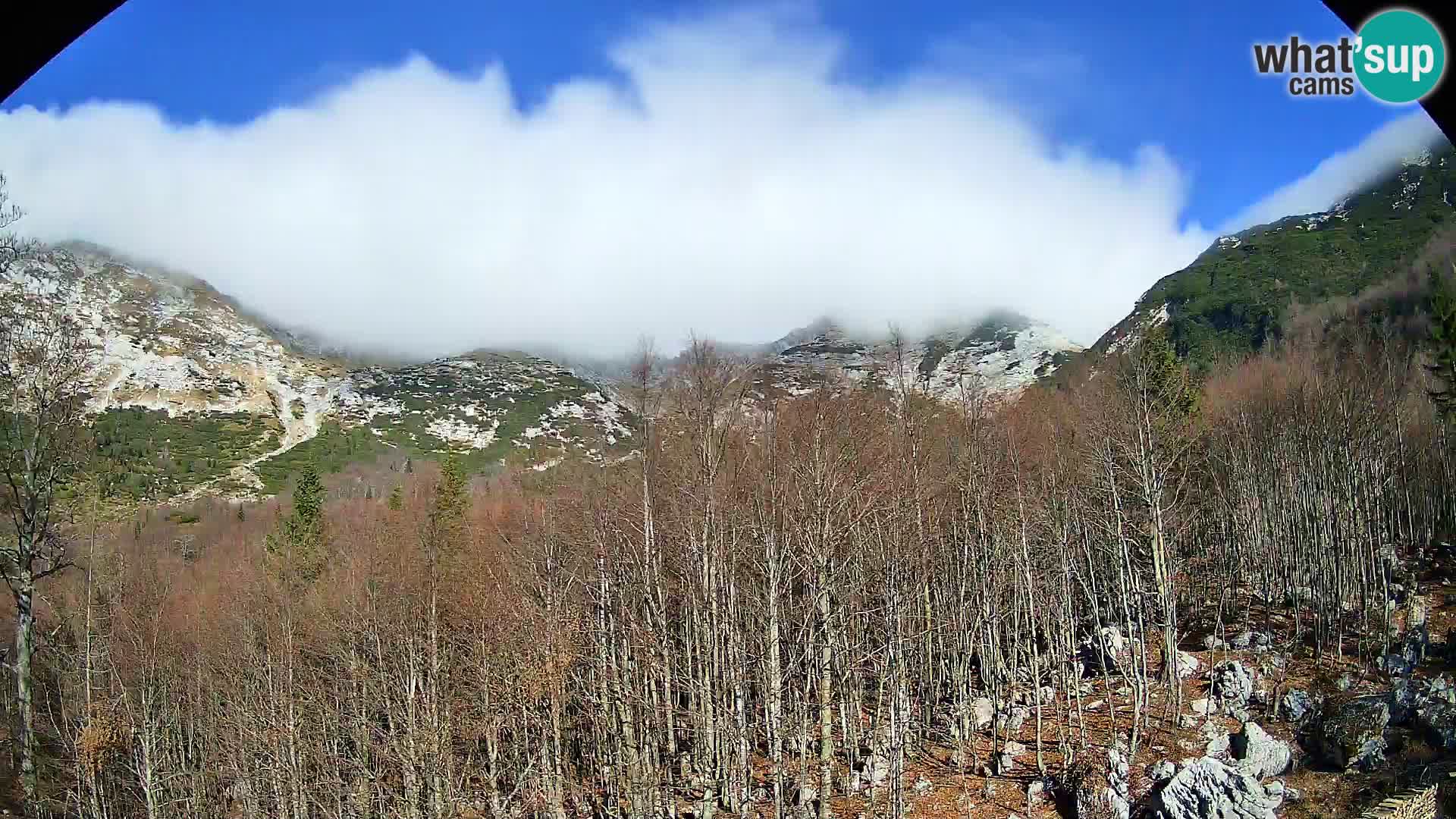 PLANINA RAZOR Live Cam (1315) | vista su Vogel e Globoko