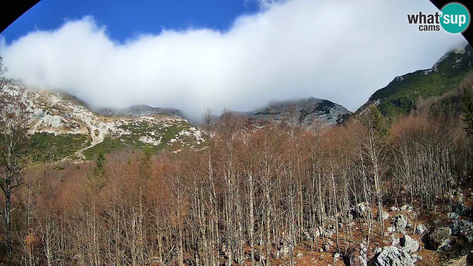 PLANINA RAZOR kamera (1315) | pogled na Vogel in Globoko