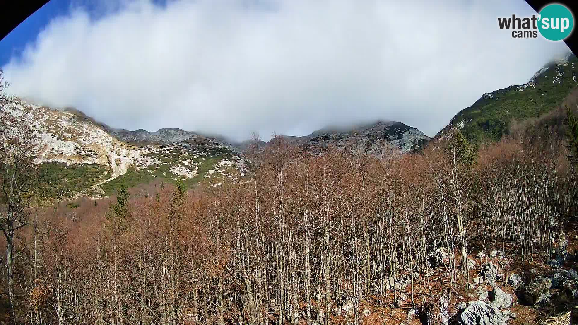 PLANINA RAZOR kamera (1315) | pogled na Vogel in Globoko