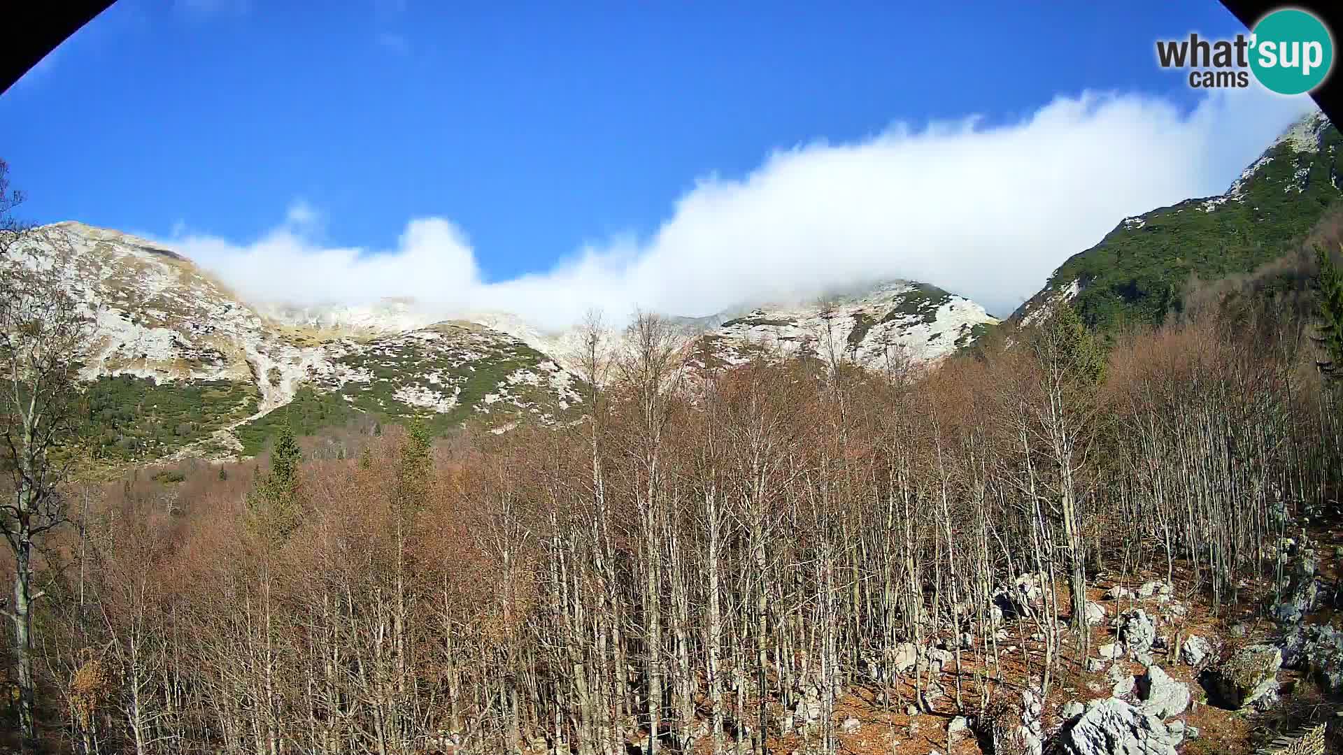 Cámara web PLANINA RAZOR (1315) | vista a Vogel y Globoko