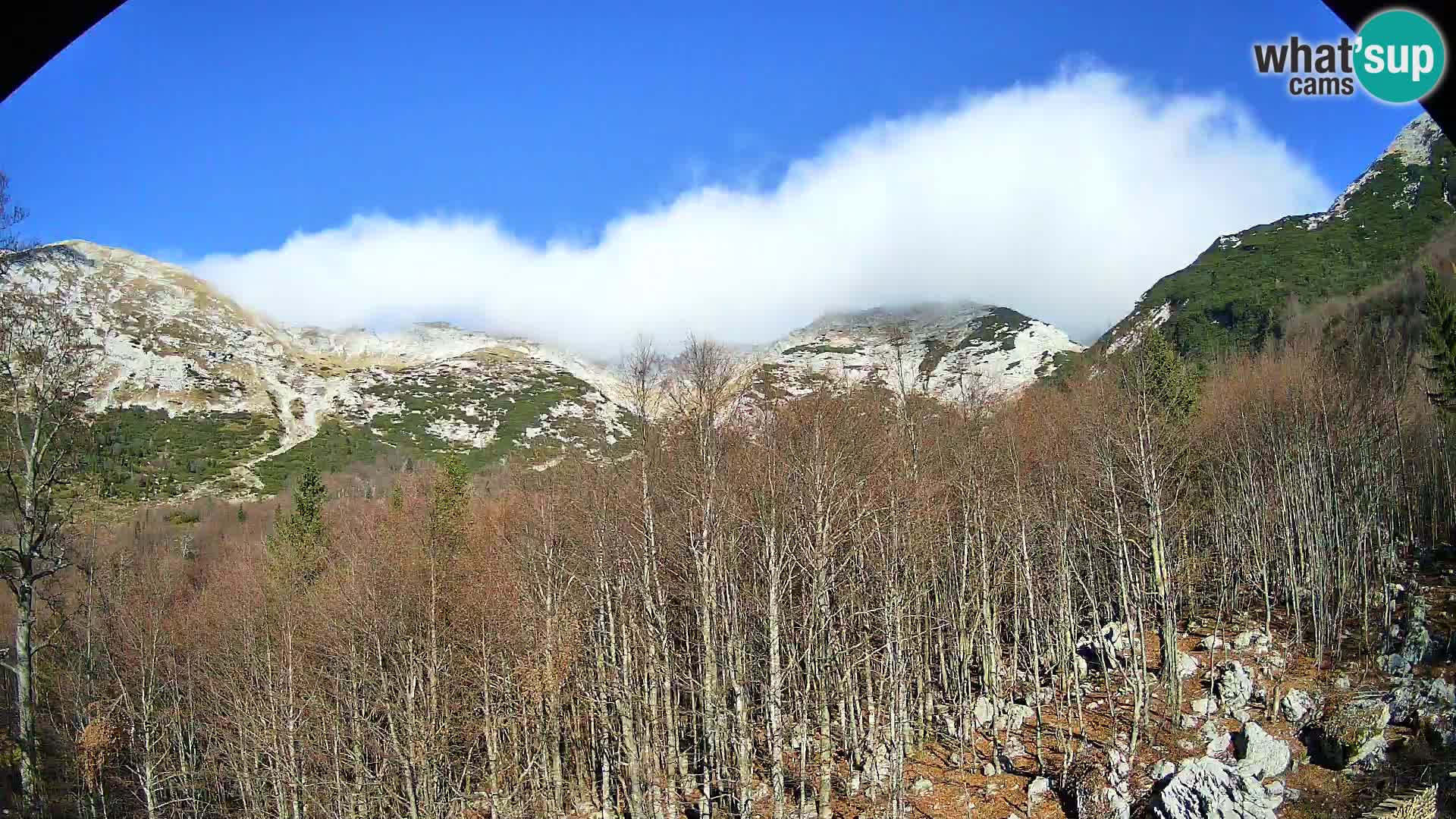 Livecam PLANINA RAZOR (1315) | vue sur Vogel et Globoko