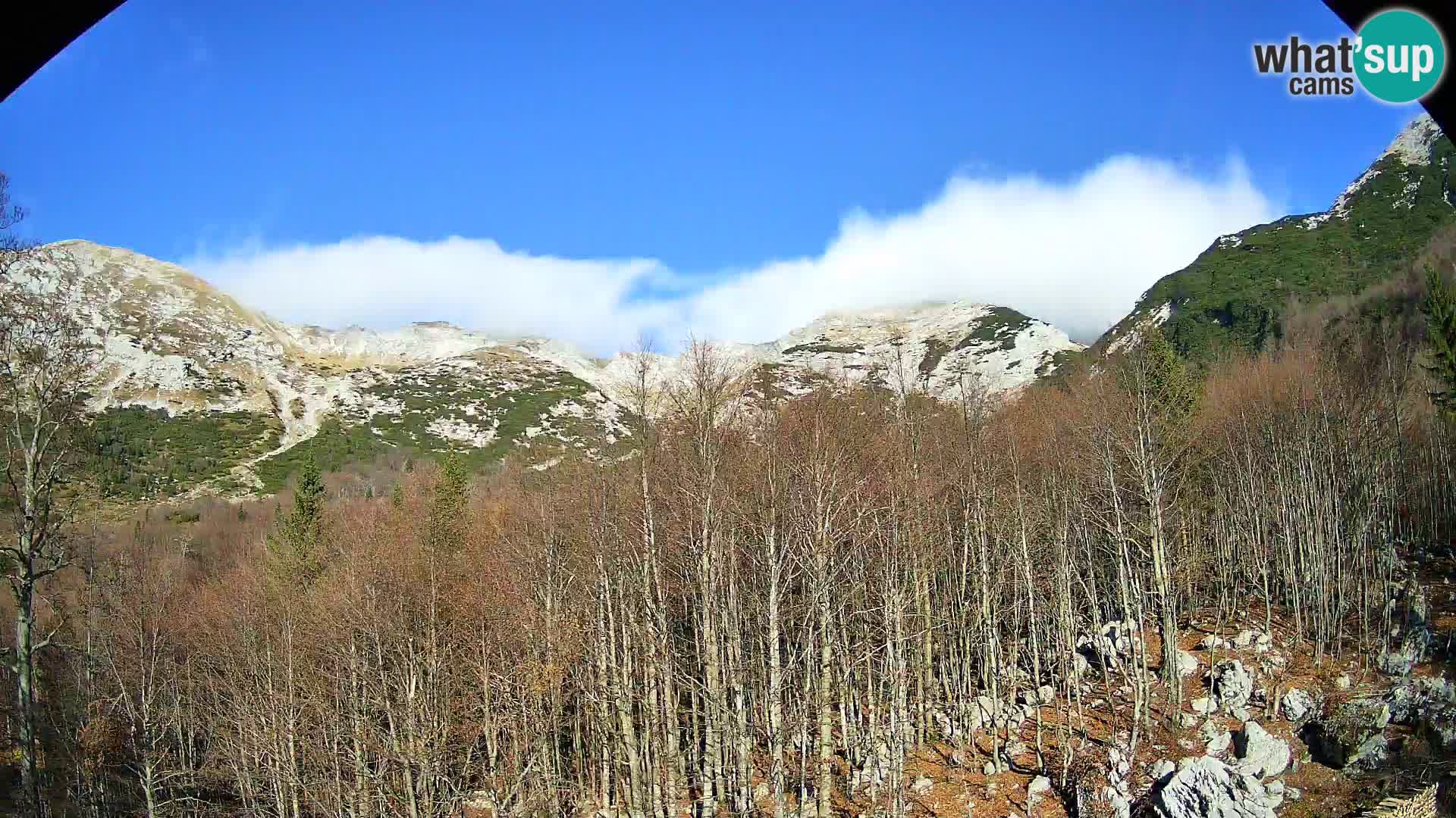 PLANINA RAZOR web kamera (1315) | pogled na Vogel i Globoko