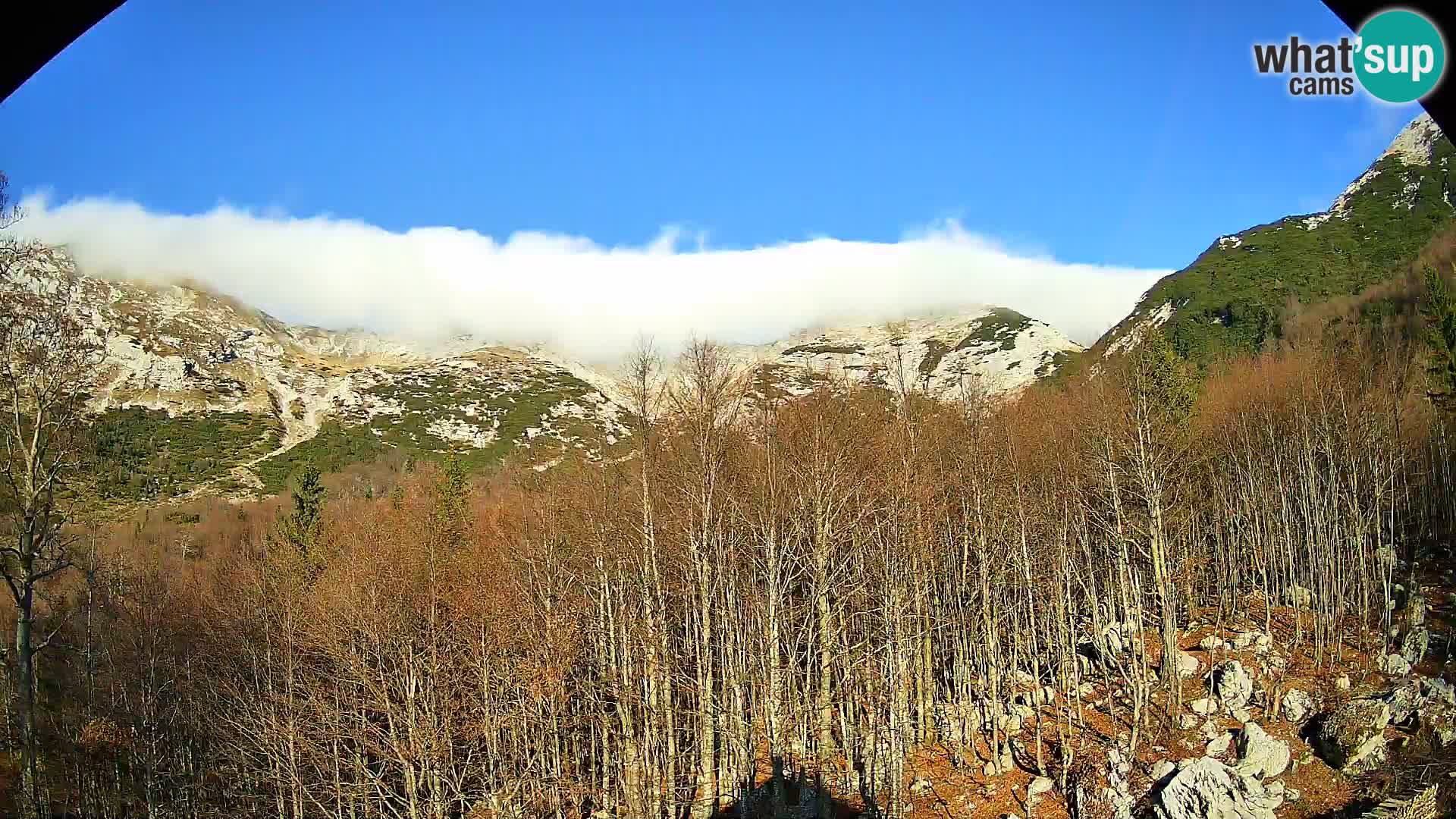 PLANINA RAZOR kamera (1315) | pogled na Vogel in Globoko