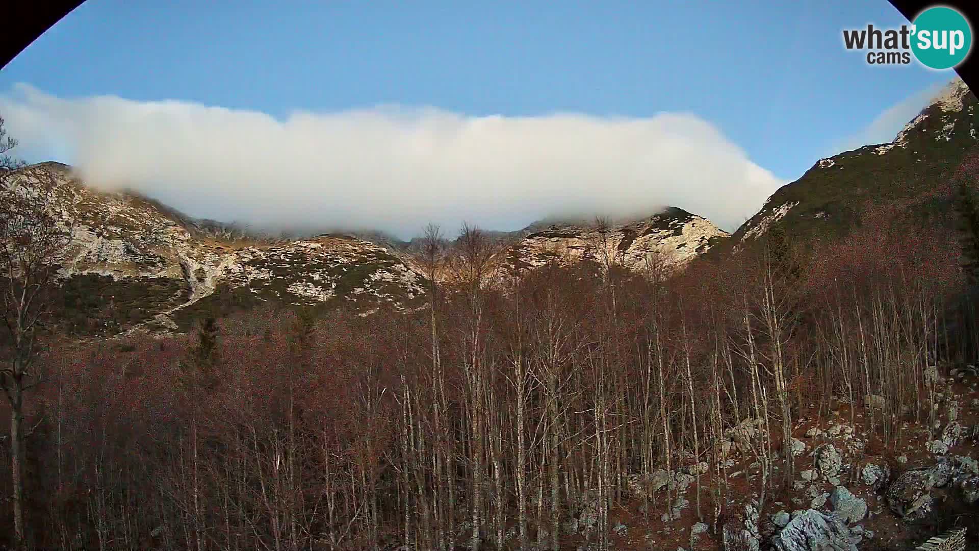 PLANINA RAZOR webcam (1315) | view to Vogel and Globoko