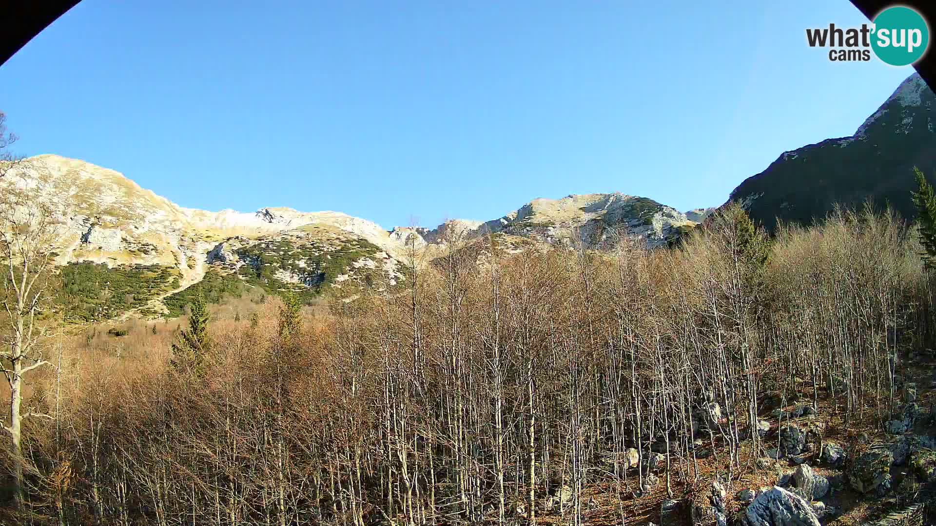 PLANINA RAZOR web kamera (1315) | pogled na Vogel i Globoko