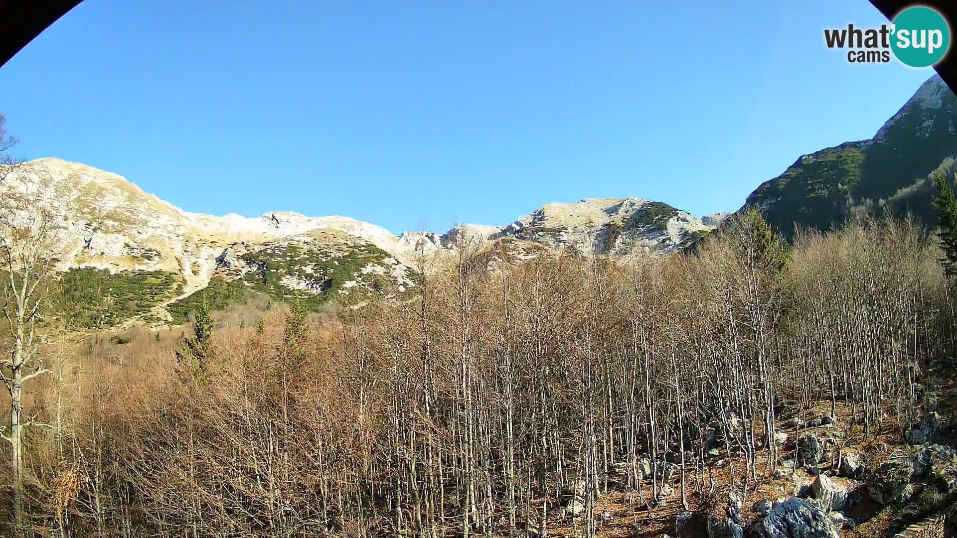 PLANINA RAZOR webcam (1315) | view to Vogel and Globoko