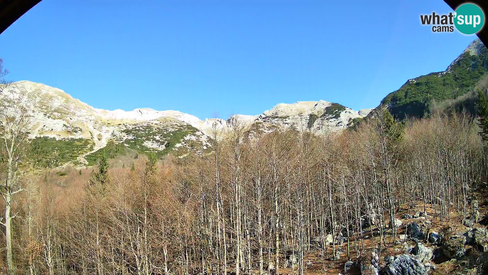 PLANINA RAZOR webcam (1315) | view to Vogel and Globoko