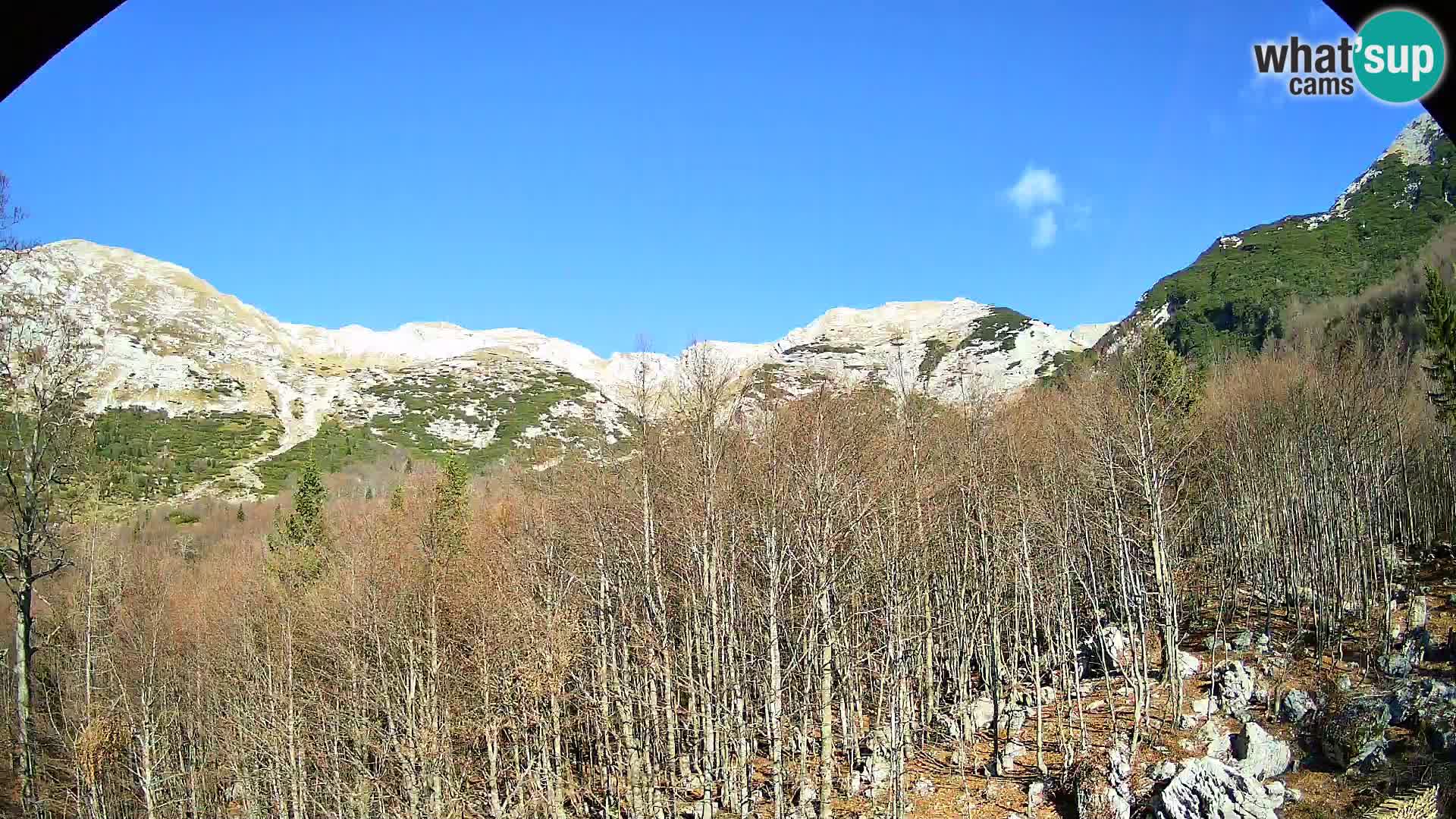 Cámara web PLANINA RAZOR (1315) | vista a Vogel y Globoko