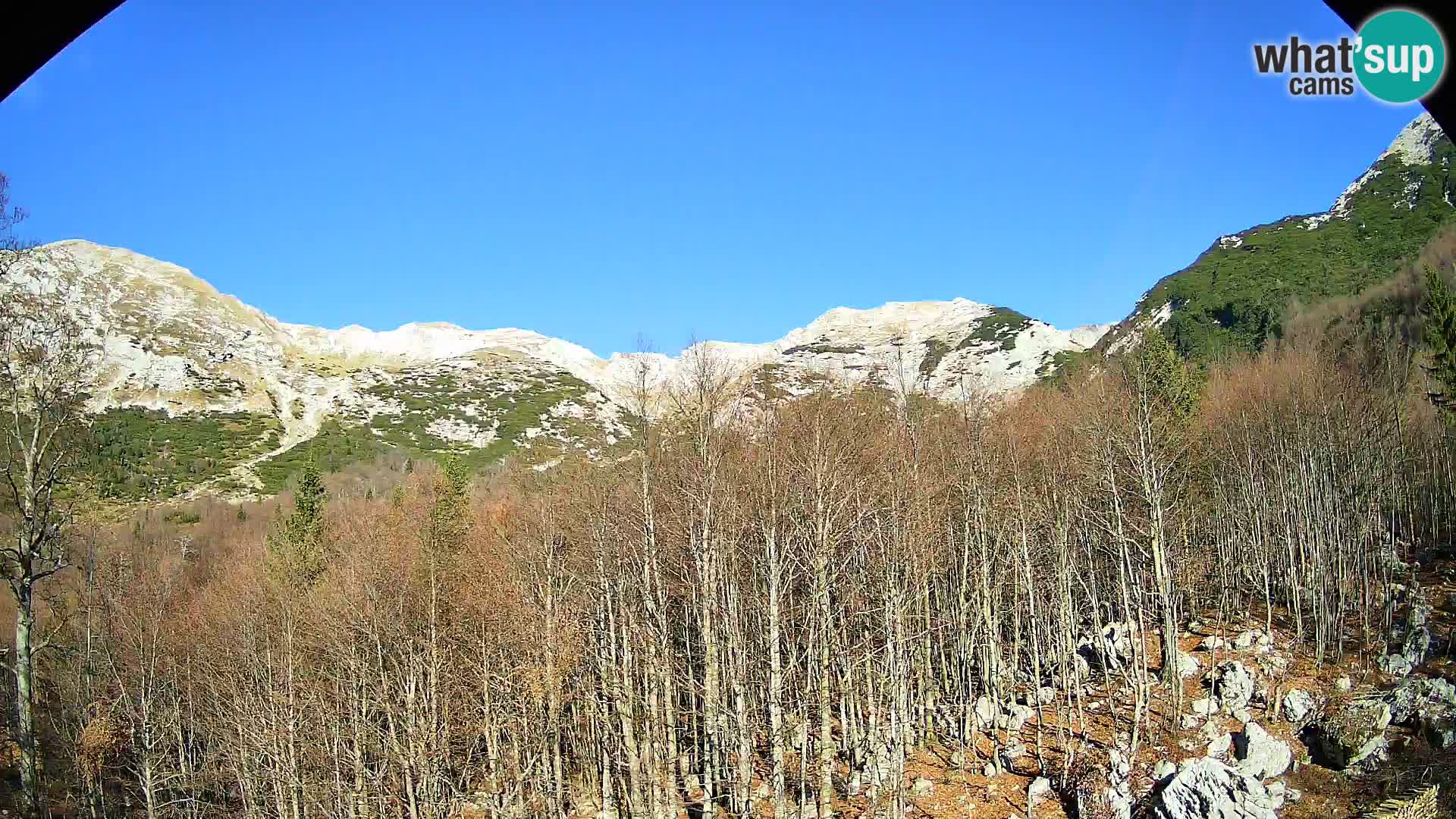 PLANINA RAZOR webcam (1315) | view to Vogel and Globoko