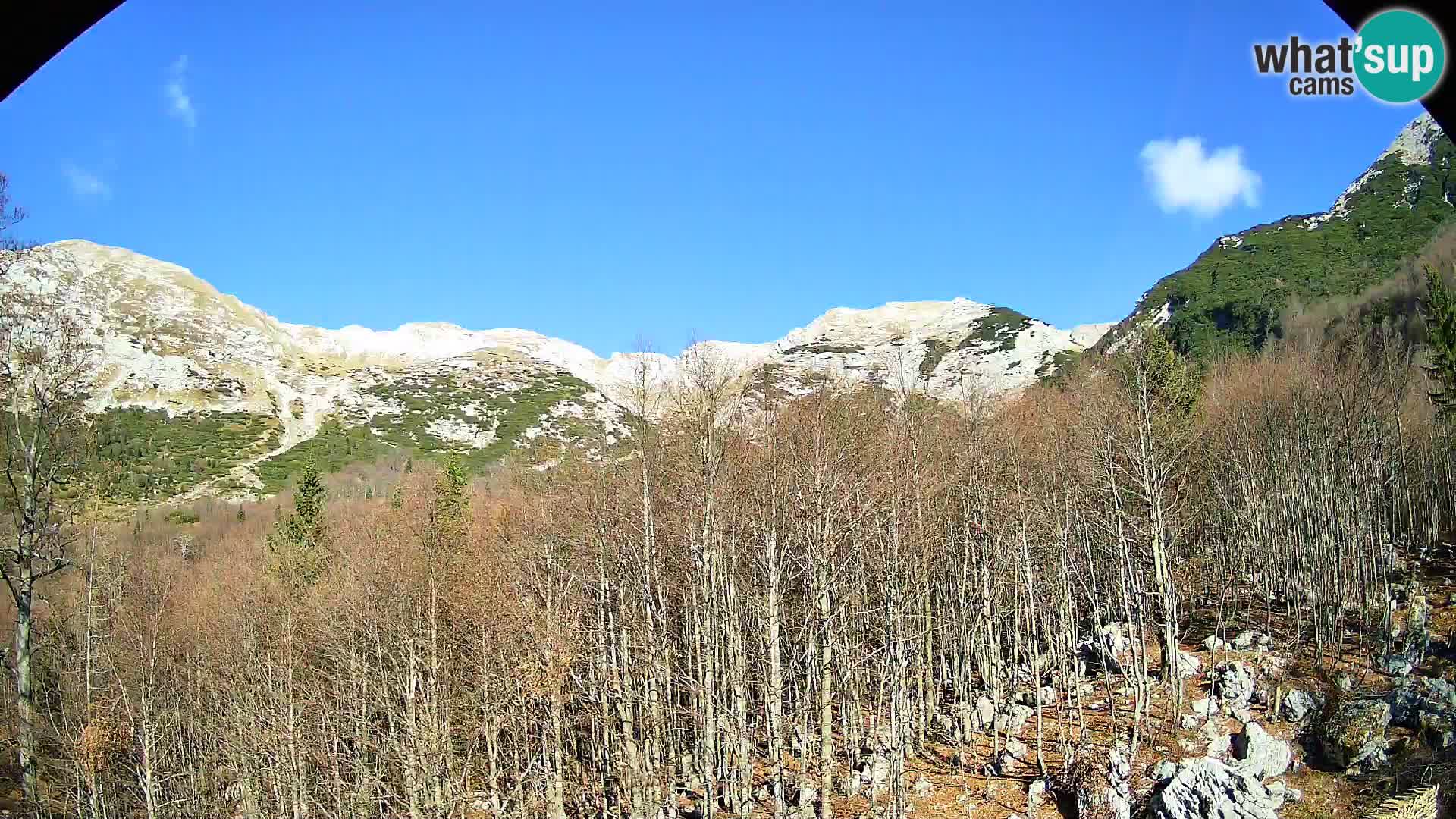Livecam PLANINA RAZOR (1315) | vue sur Vogel et Globoko