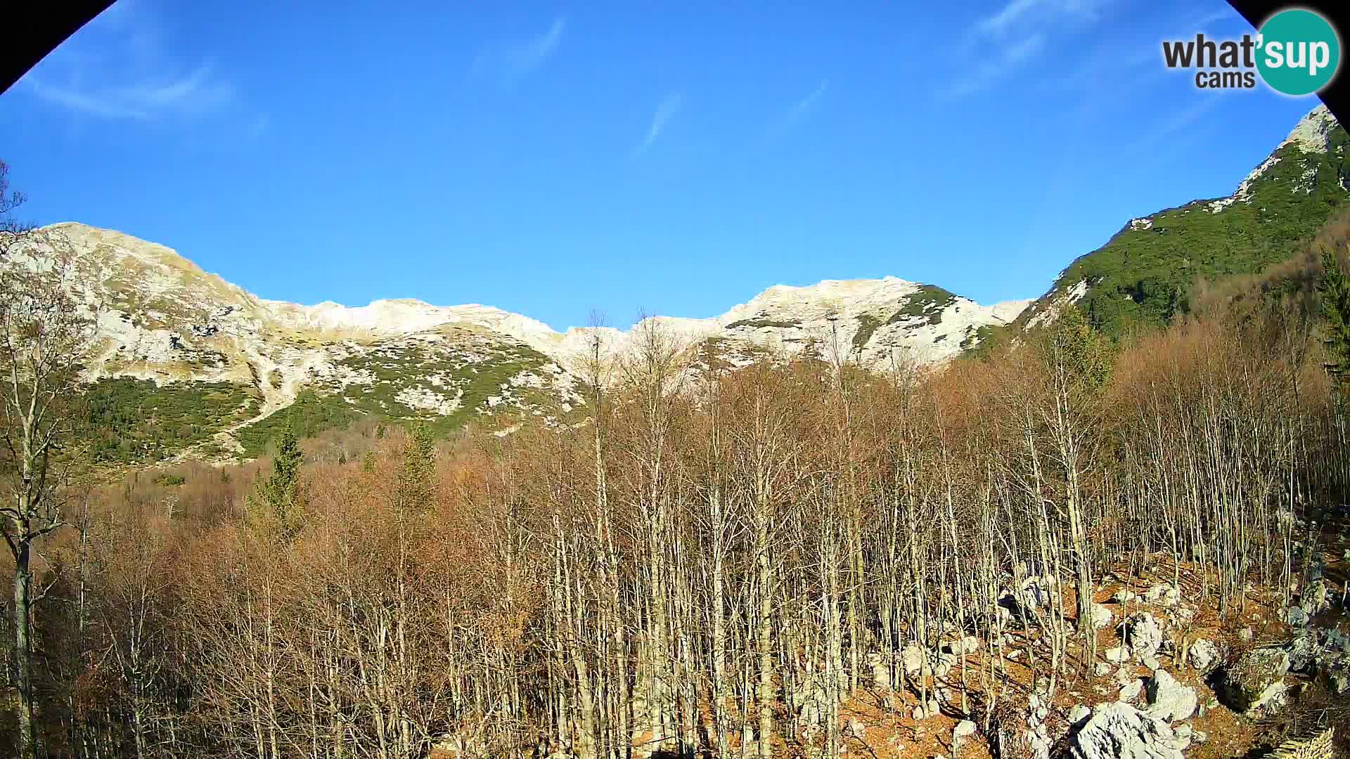 Livecam PLANINA RAZOR (1315) | vue sur Vogel et Globoko