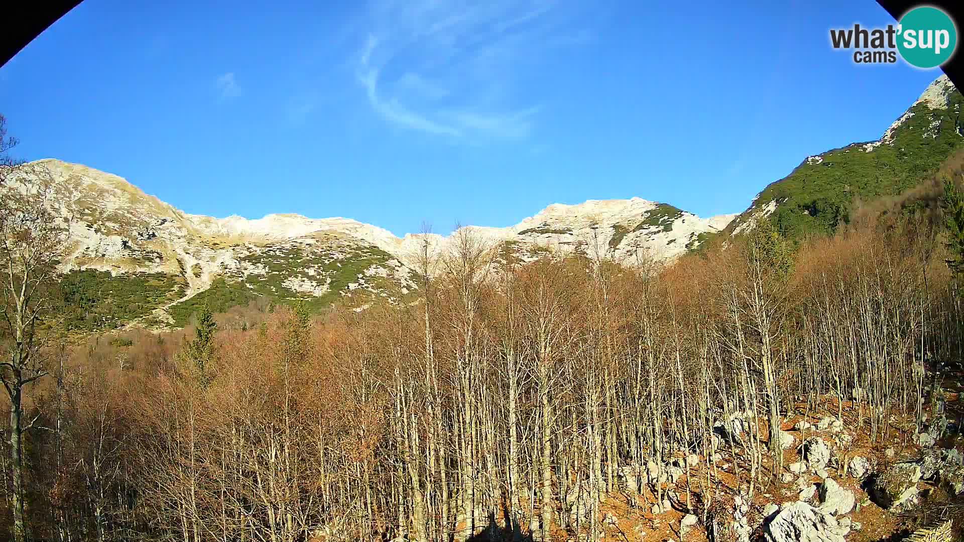 PLANINA RAZOR webcam (1315) | view to Vogel and Globoko
