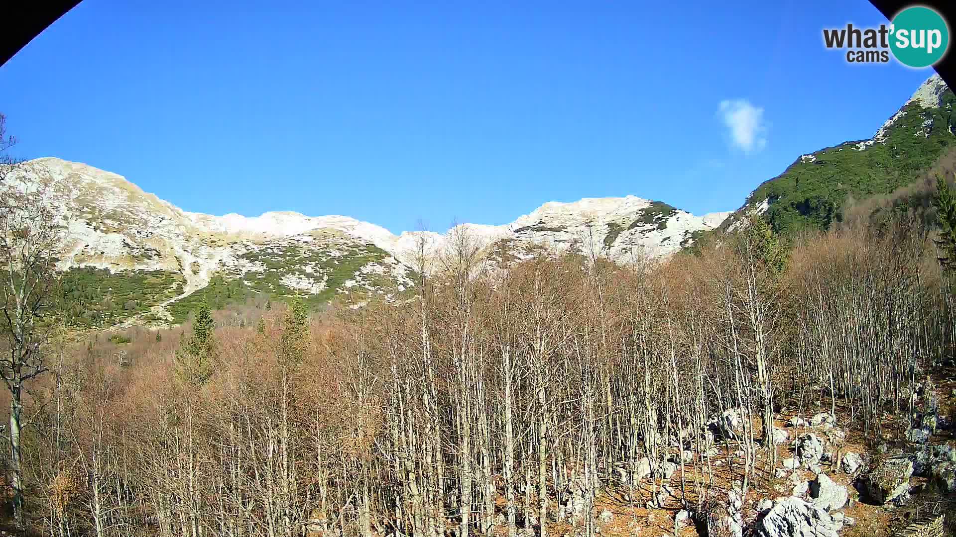 PLANINA RAZOR kamera (1315) | pogled na Vogel in Globoko