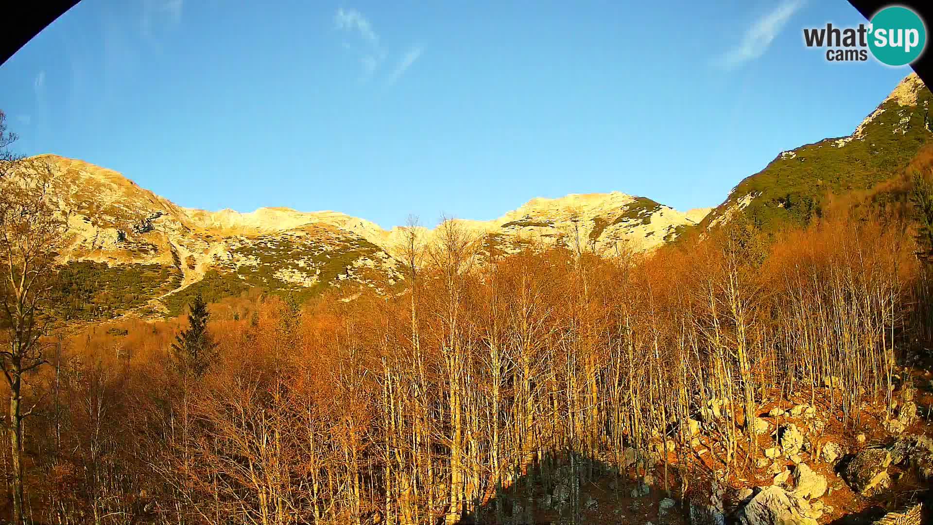 Cámara web PLANINA RAZOR (1315) | vista a Vogel y Globoko
