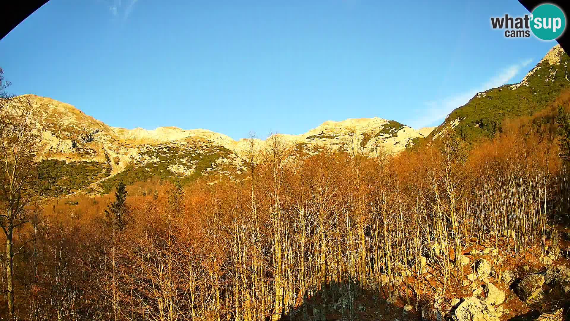 Cámara web PLANINA RAZOR (1315) | vista a Vogel y Globoko