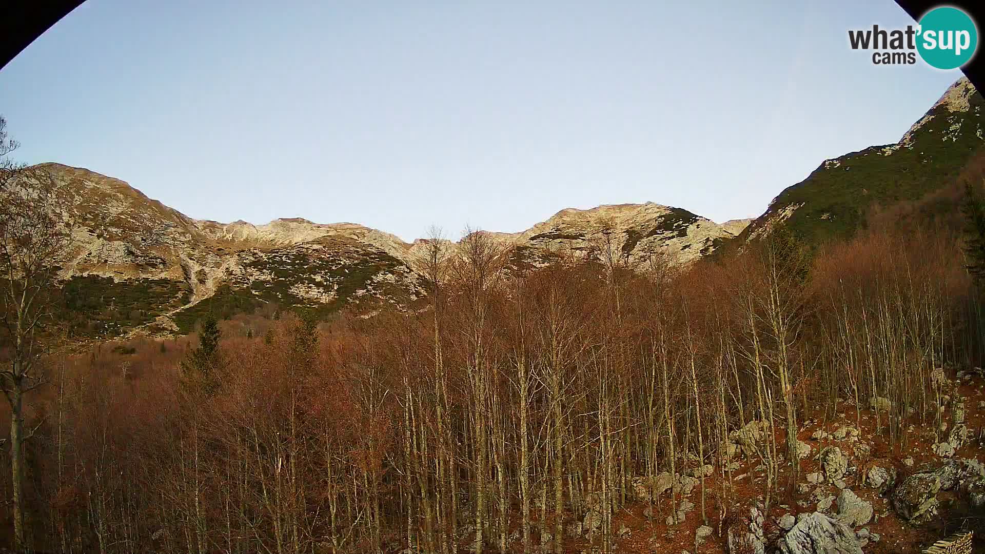 Livecam PLANINA RAZOR (1315) | vue sur Vogel et Globoko