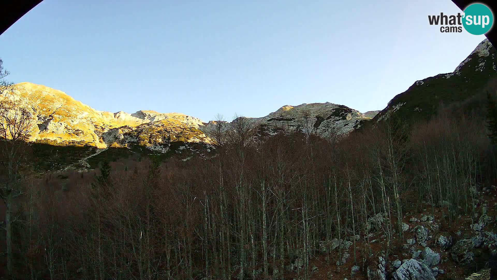 PLANINA RAZOR Live Cam (1315) | vista su Vogel e Globoko