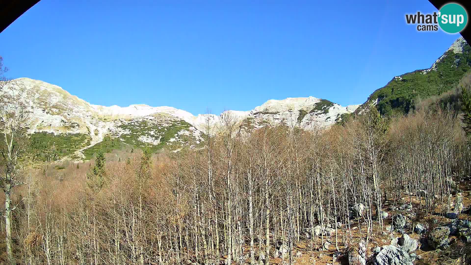 PLANINA RAZOR kamera (1315) | pogled na Vogel in Globoko