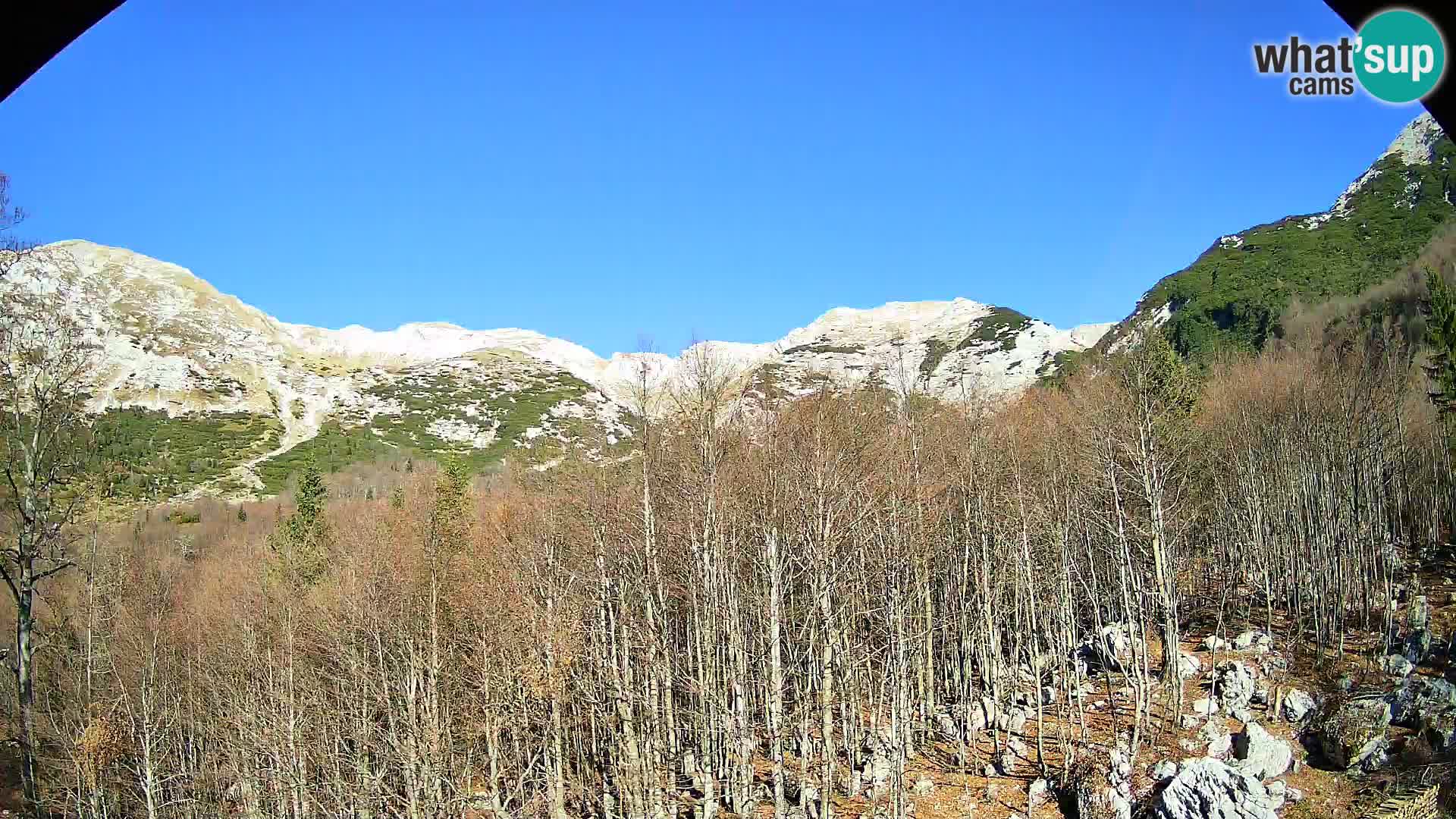 Cámara web PLANINA RAZOR (1315) | vista a Vogel y Globoko